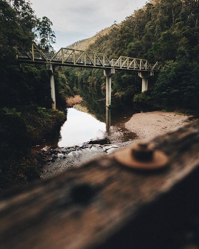 The gentle sound of the Thompson river, garnished with the song of a friendly magpie. It&rsquo;s an experience people pay for, and a soundscape downloaded time phones in an attempt to sedate those trying to sleep. I find warmth in the idea that, to m