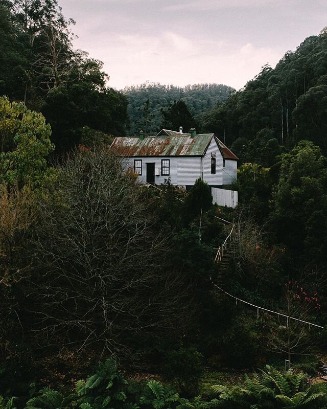 I always find it amazing how even when something remains lived in,or frequently used, nature always tries to reclaim its ground. No matter the infrastructure we as humans build on our thriving mother earth, she will inevitably consume it back as her 