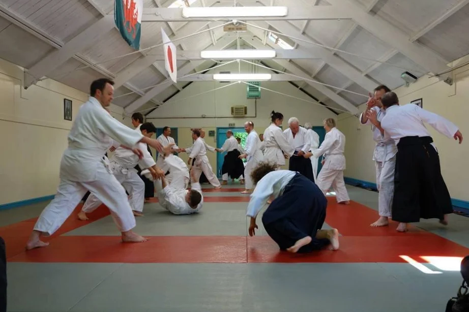 Sully Dojo, South Wales, 2013