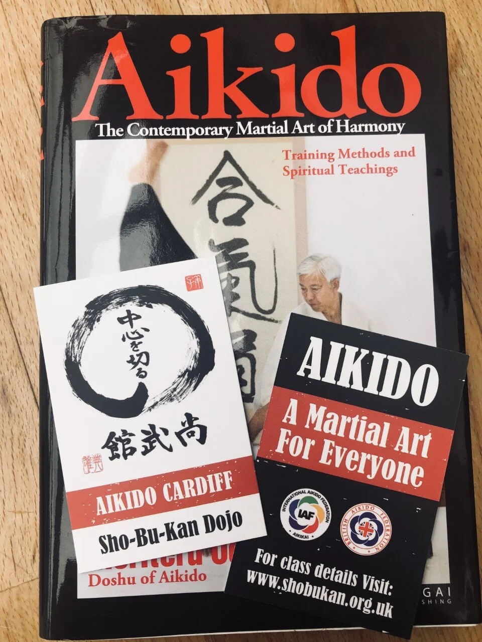 Aikido A Martial Art For Everyone...