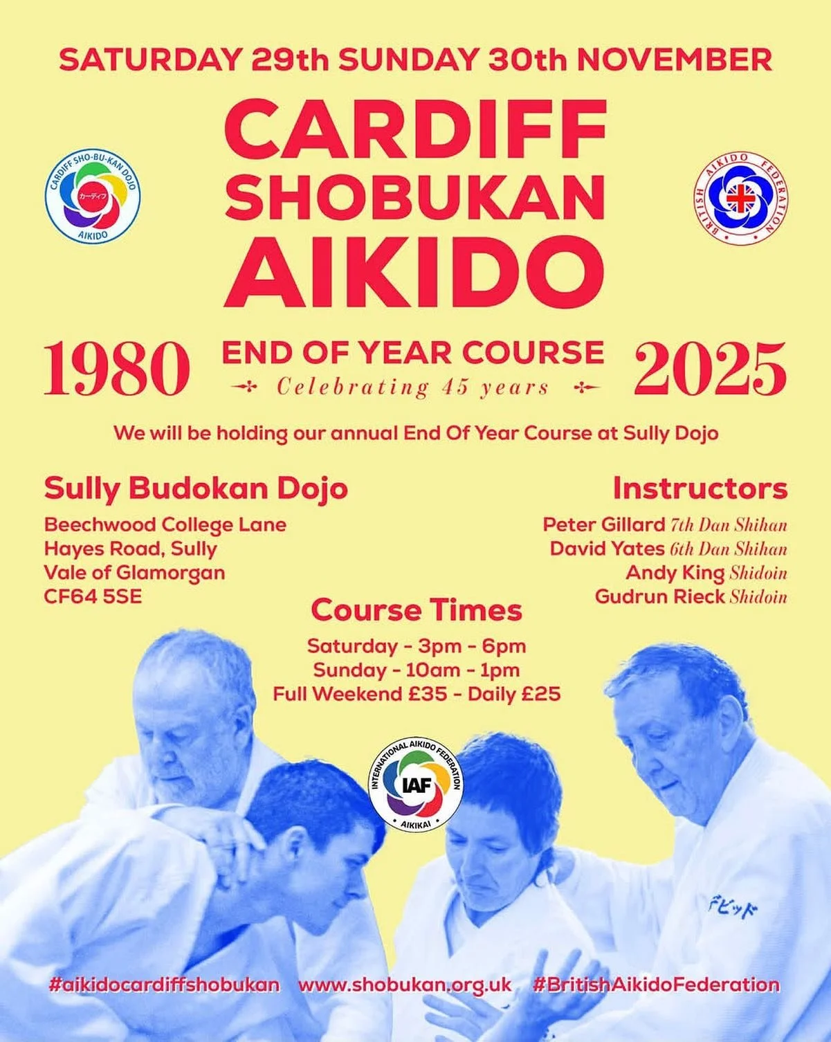 Celebration poster! #cardiffshobukanaikido