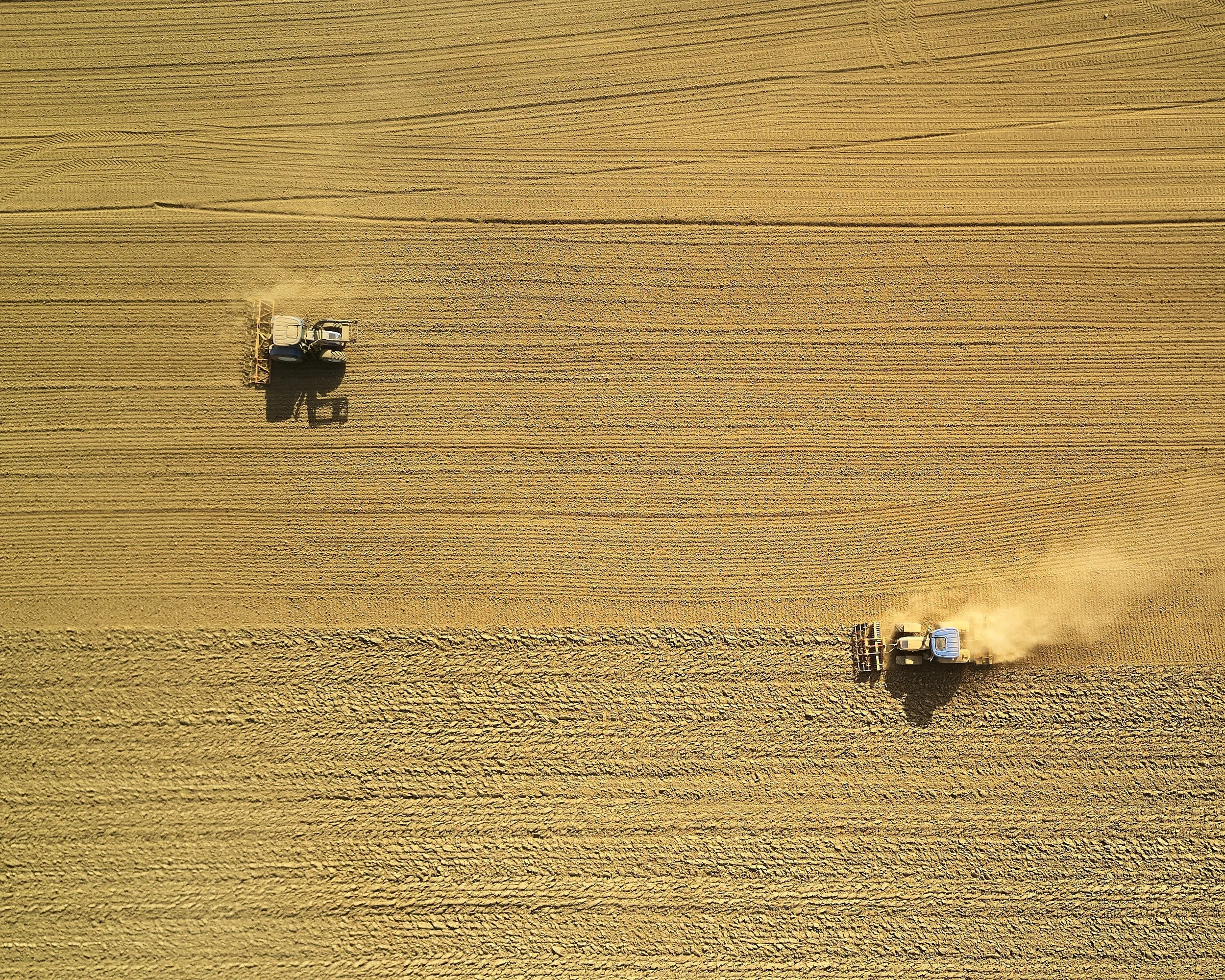 AUG_HARVEST_johny-goerend-393401-unsplash.jpg