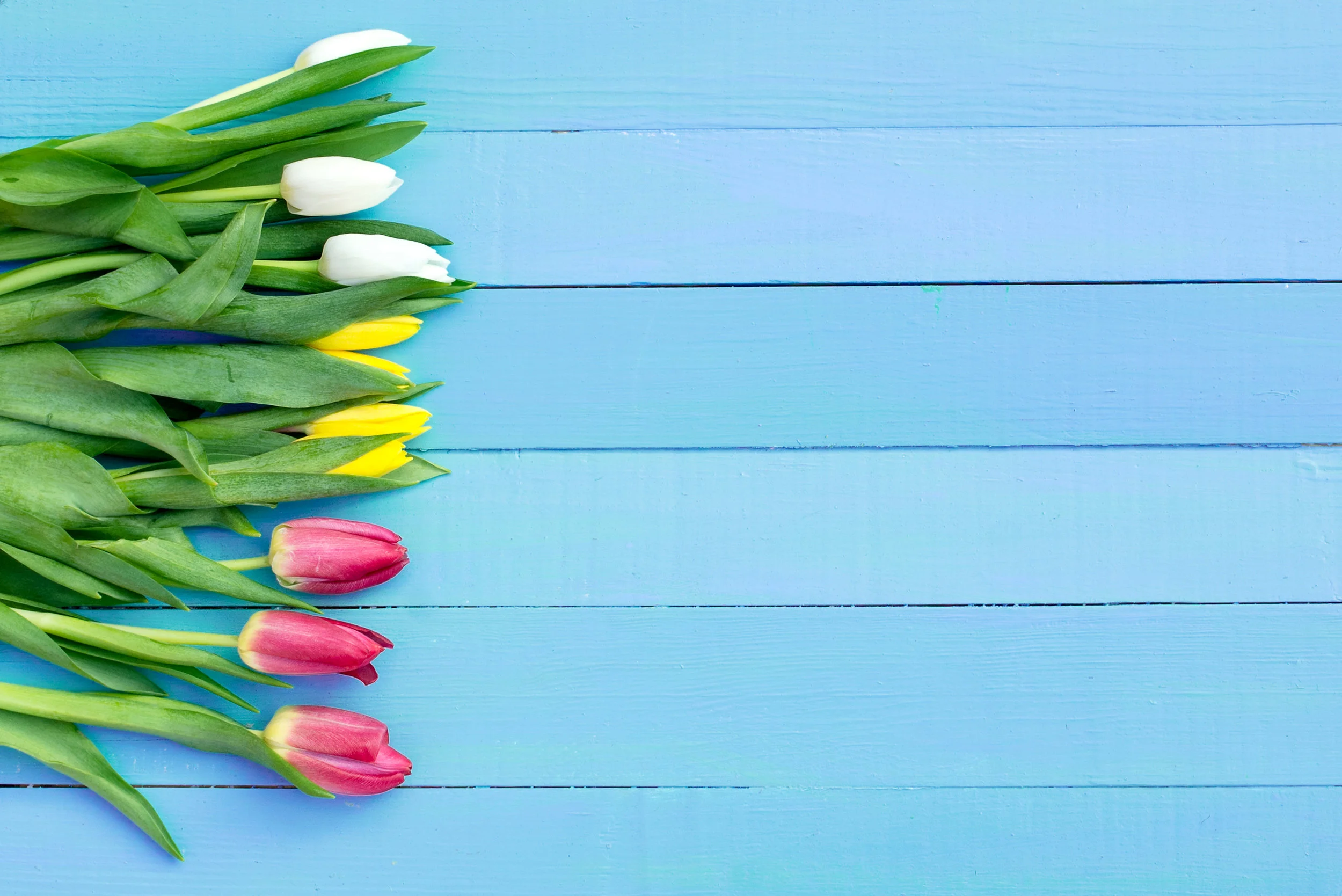 MARCH 2018 Sermon Archive