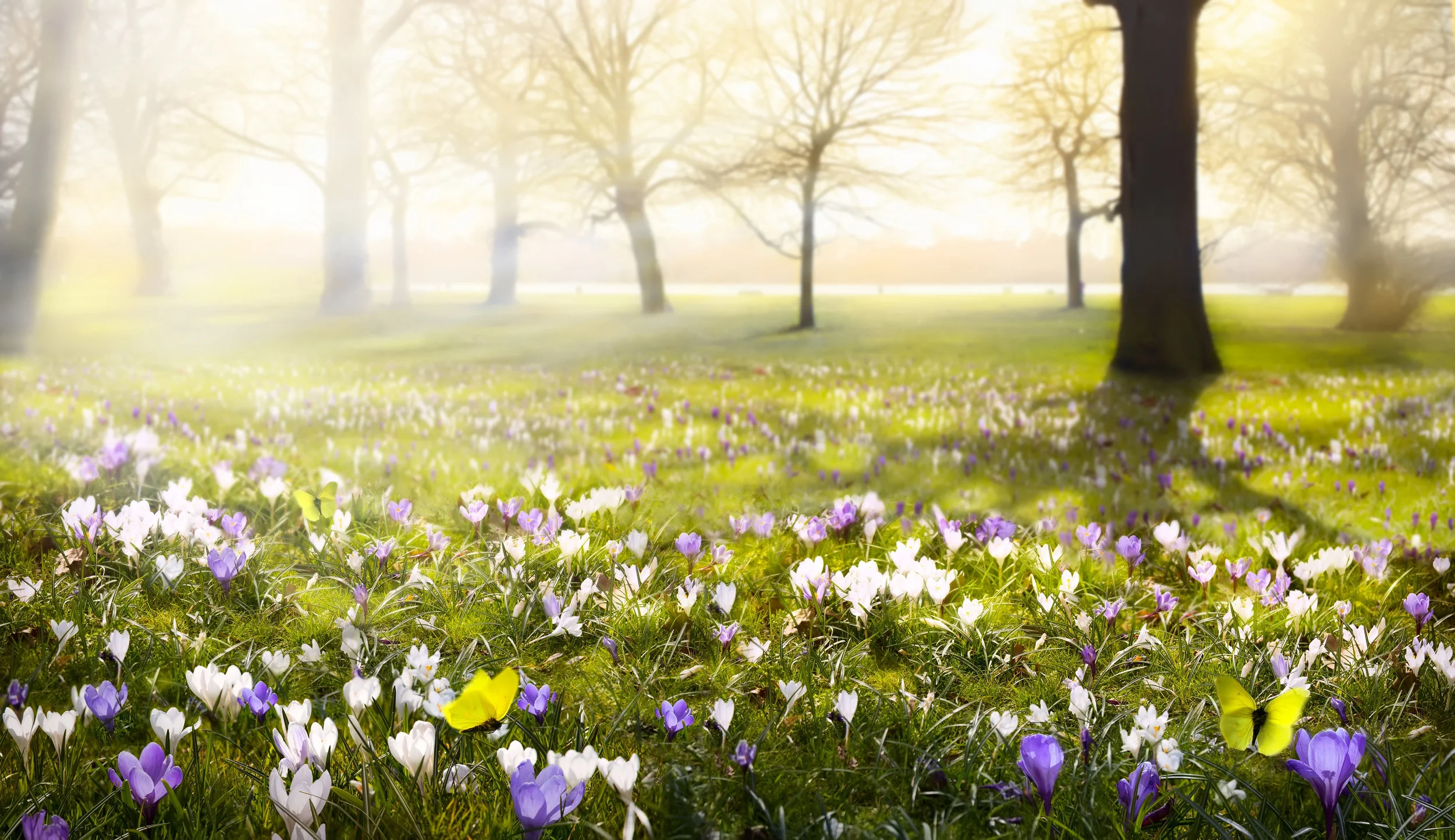 APRIL_2018_AdobeStock_78313786.jpeg