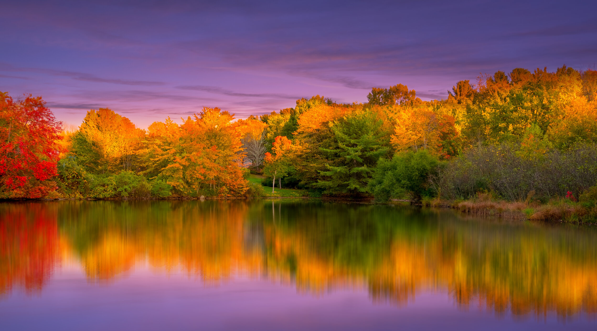 AdobeStock_290954963.jpeg