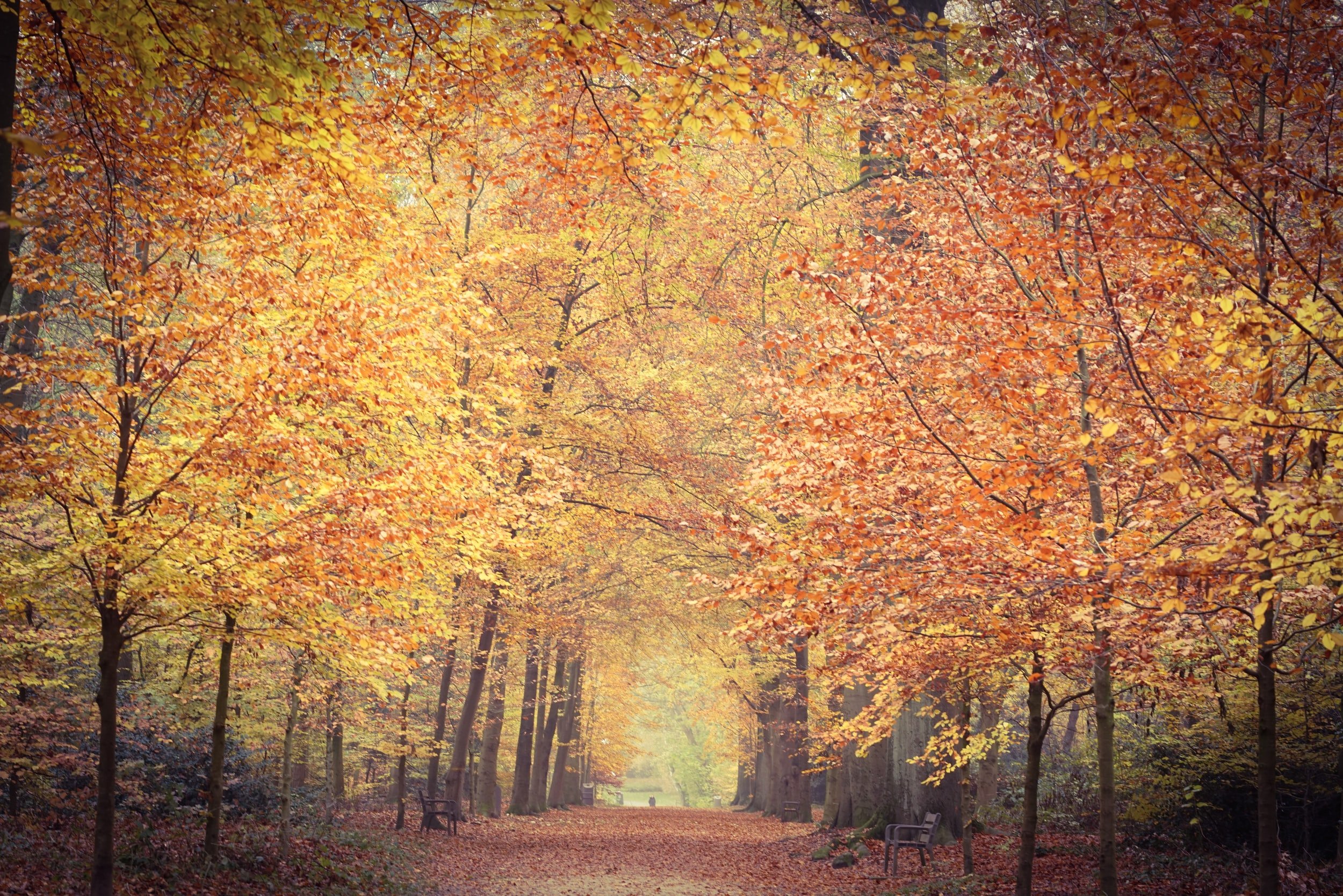 November 2021 Sermon Archive