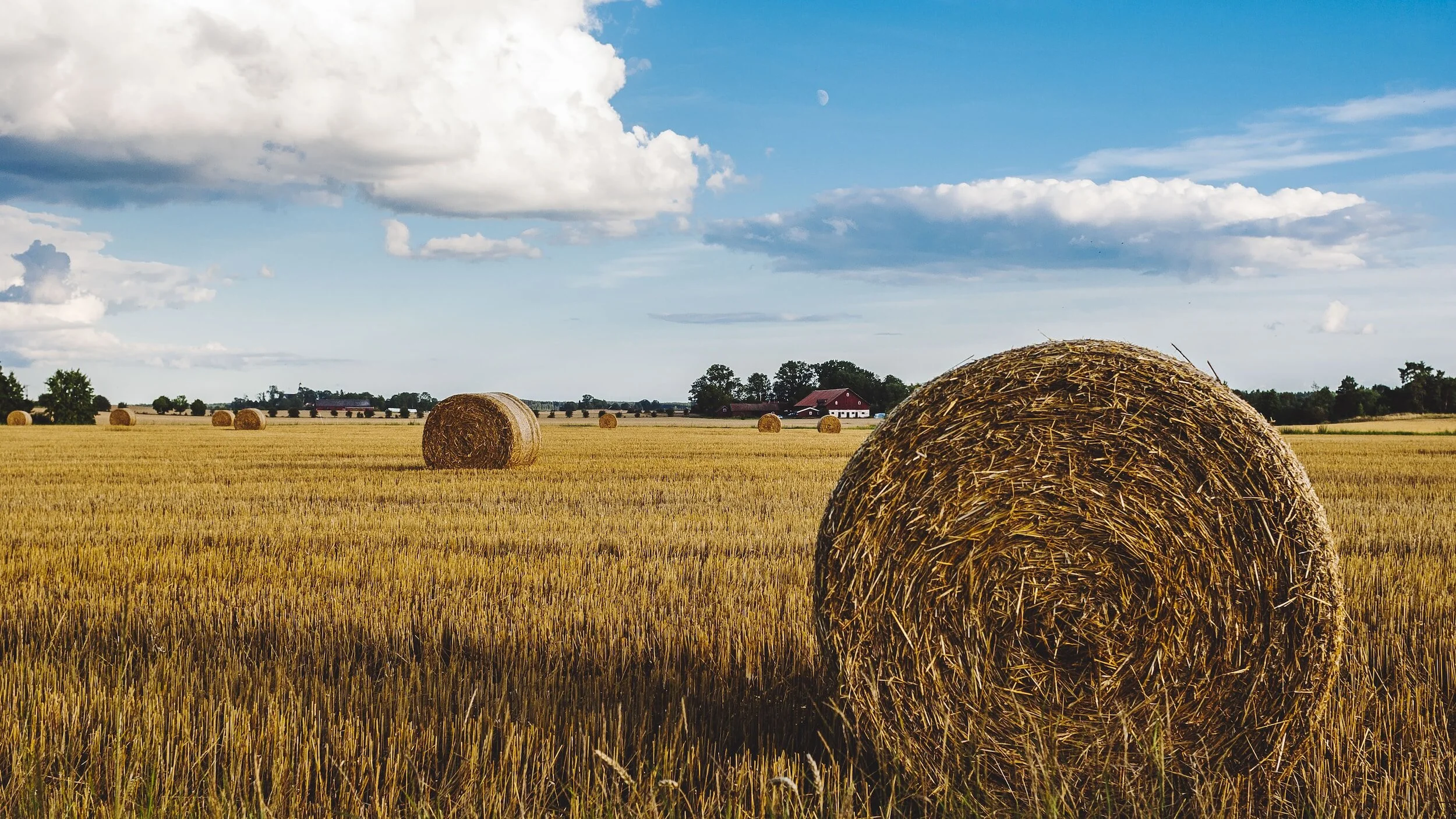 October 2023 Sermon Archive