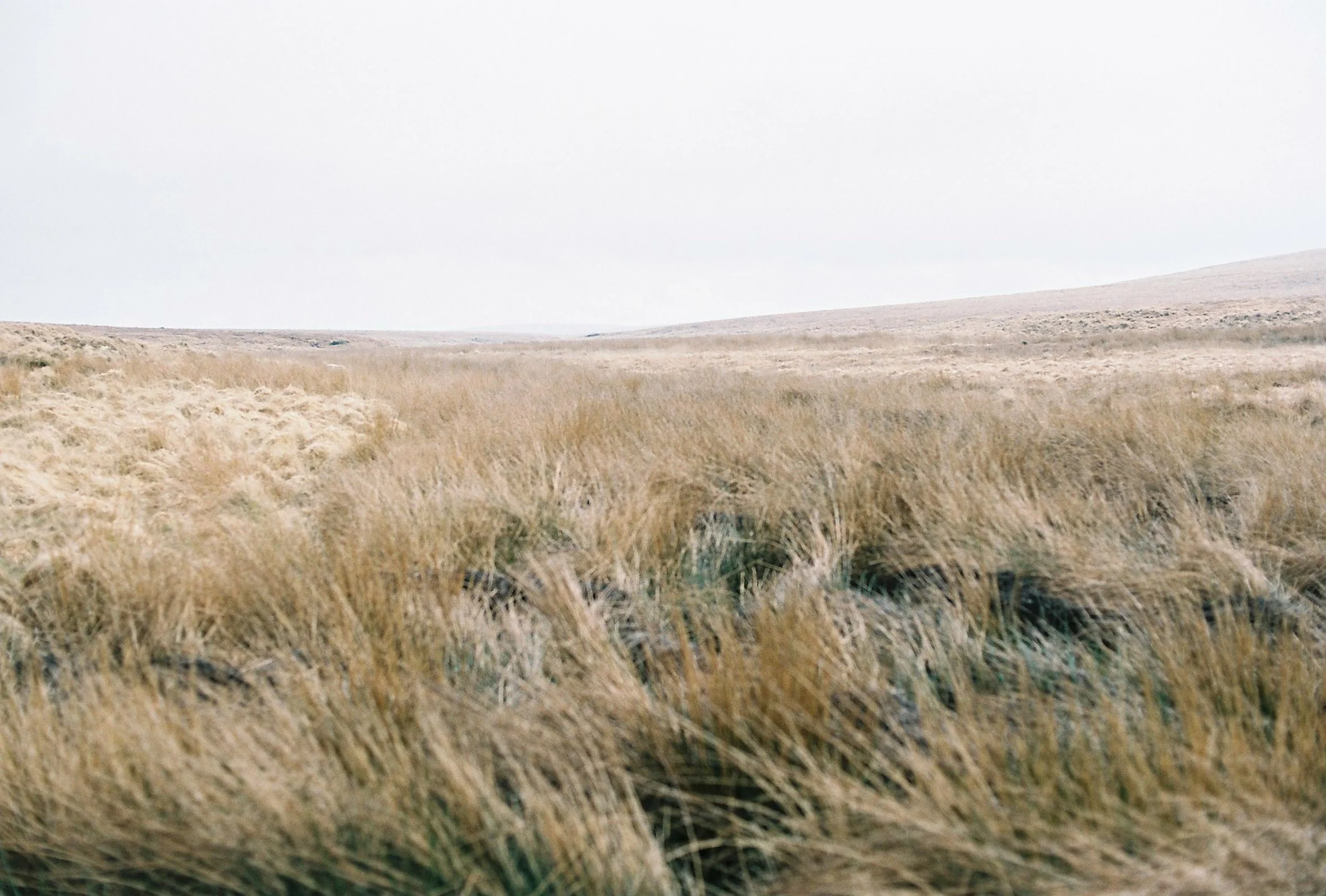 Moorswood Wanderings_Apr2021-315.JPG