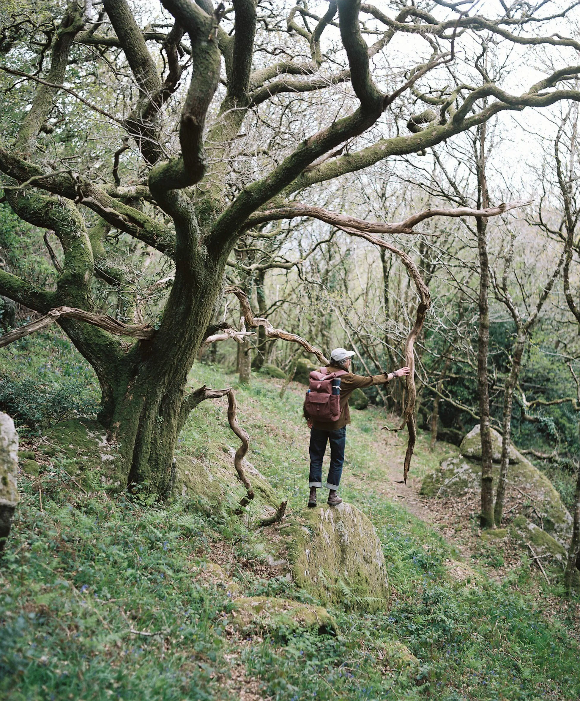 Moorswood Wanderings_Apr2021-188 - Copy.JPG