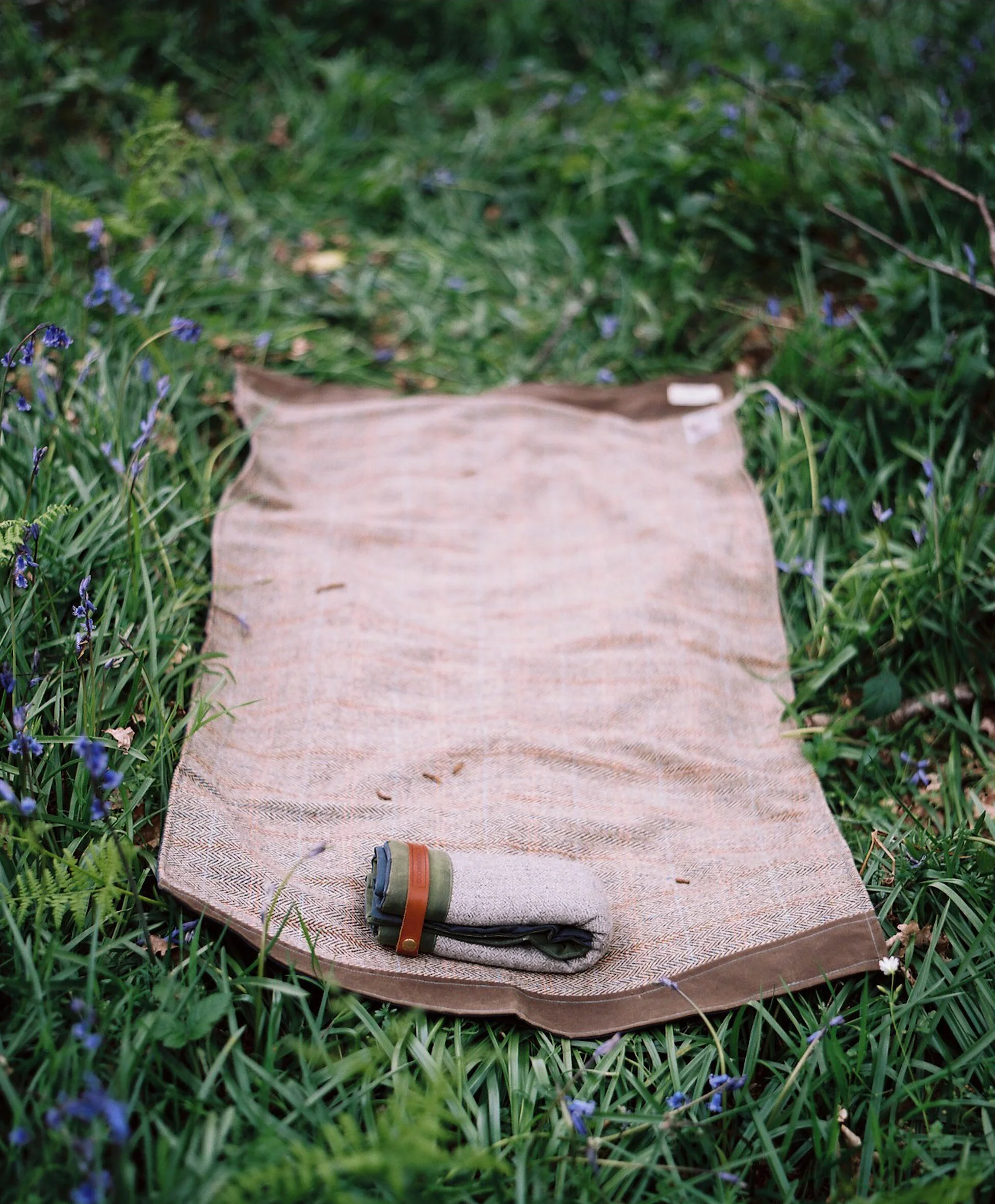 Moorswood Wanderings_Apr2021-185 - Copy.JPG