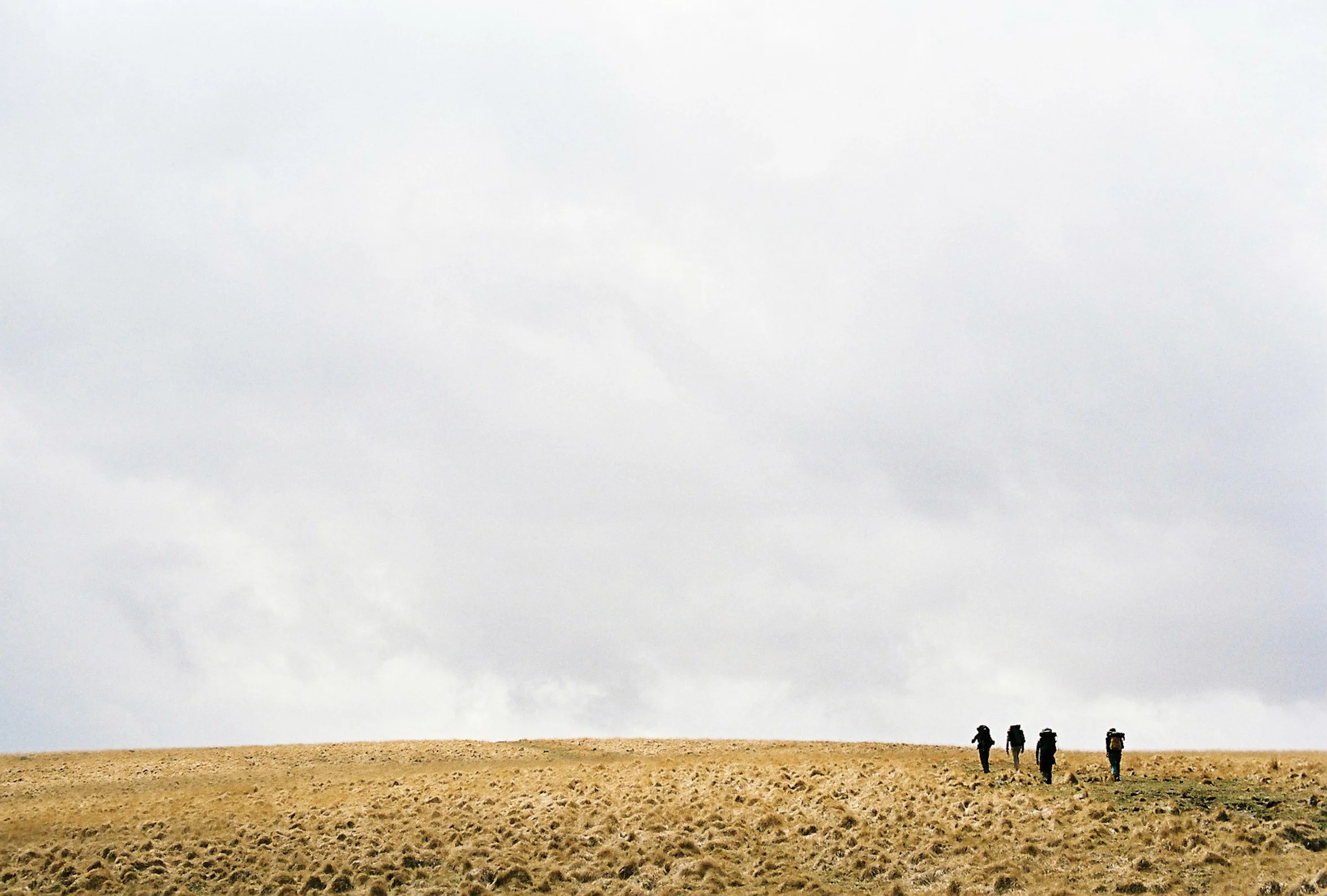 Moorswood Wanderings_Apr2021-266.JPG