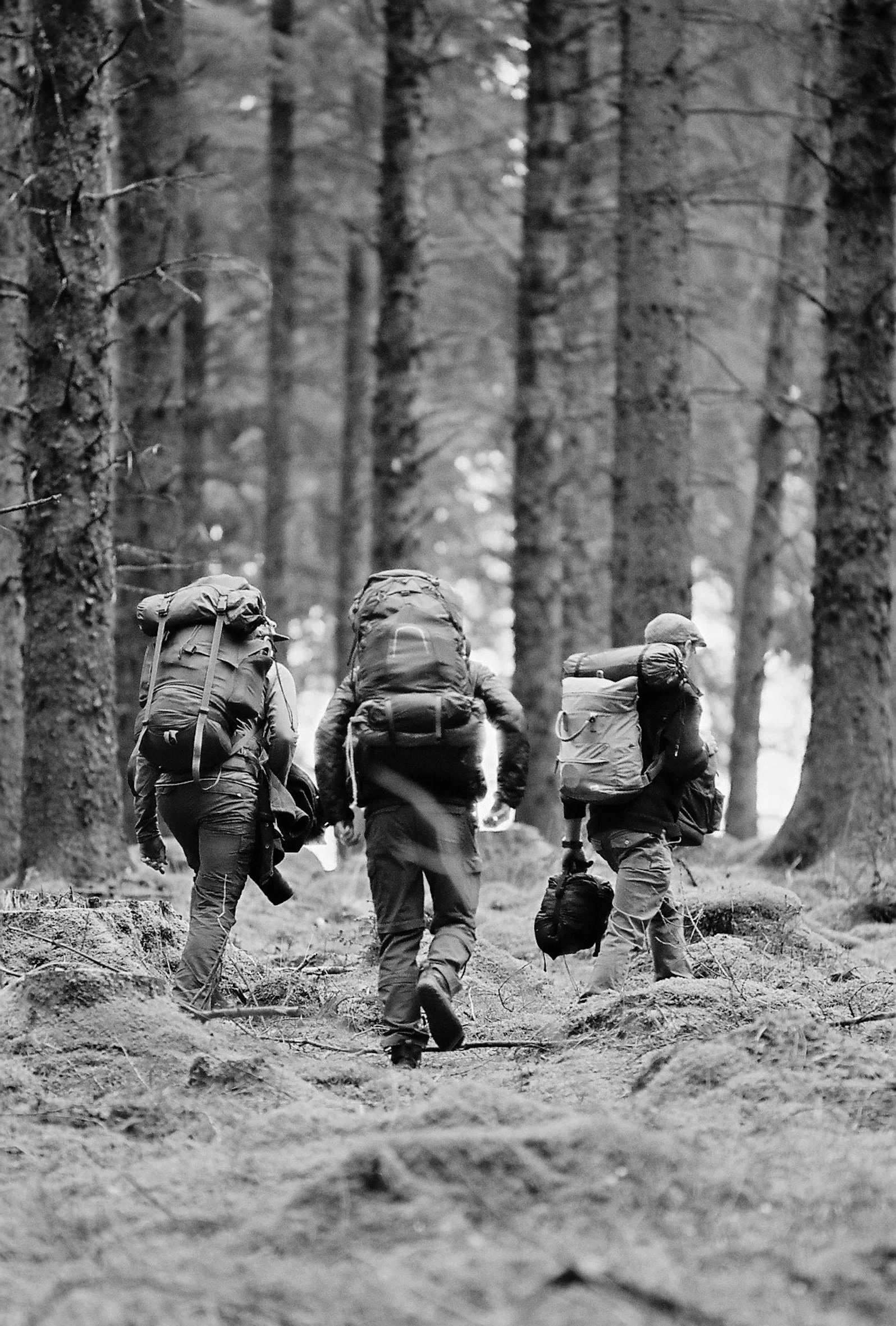 Moorswood Wanderings_Apr2021-297.JPG