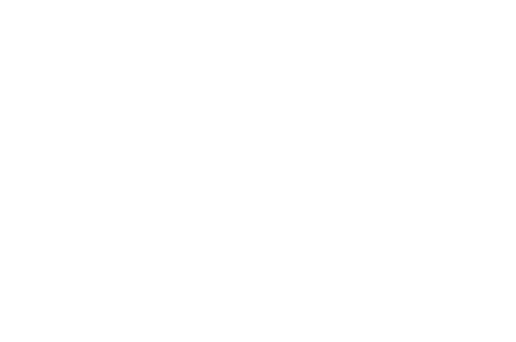 OFFICIAL SELECTION - BFI South East filmmakers competion - 2018.png