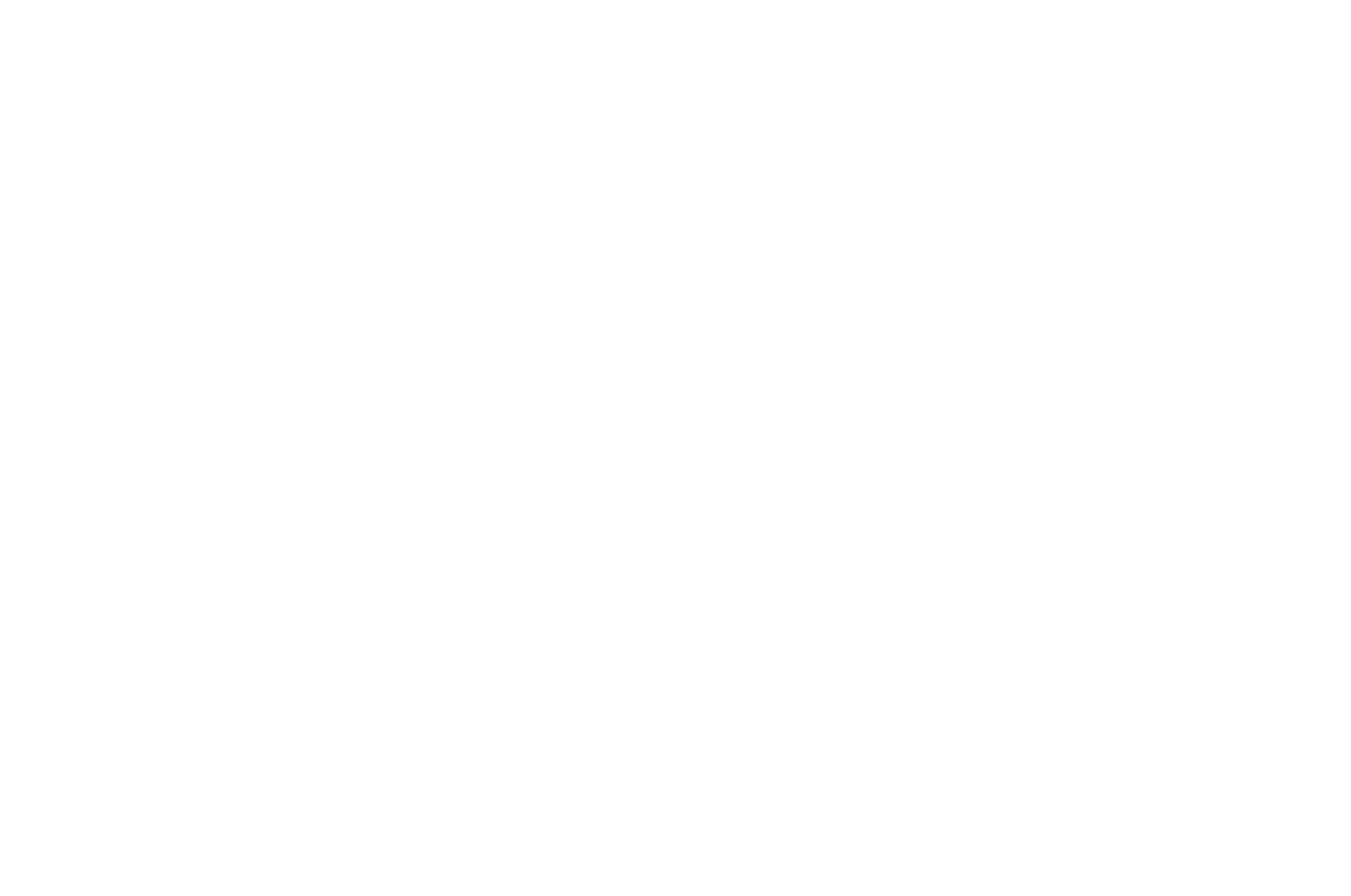 OFFICIAL SELECTION_WHITE - Austin Micro Film Festival - 2020 (2).png