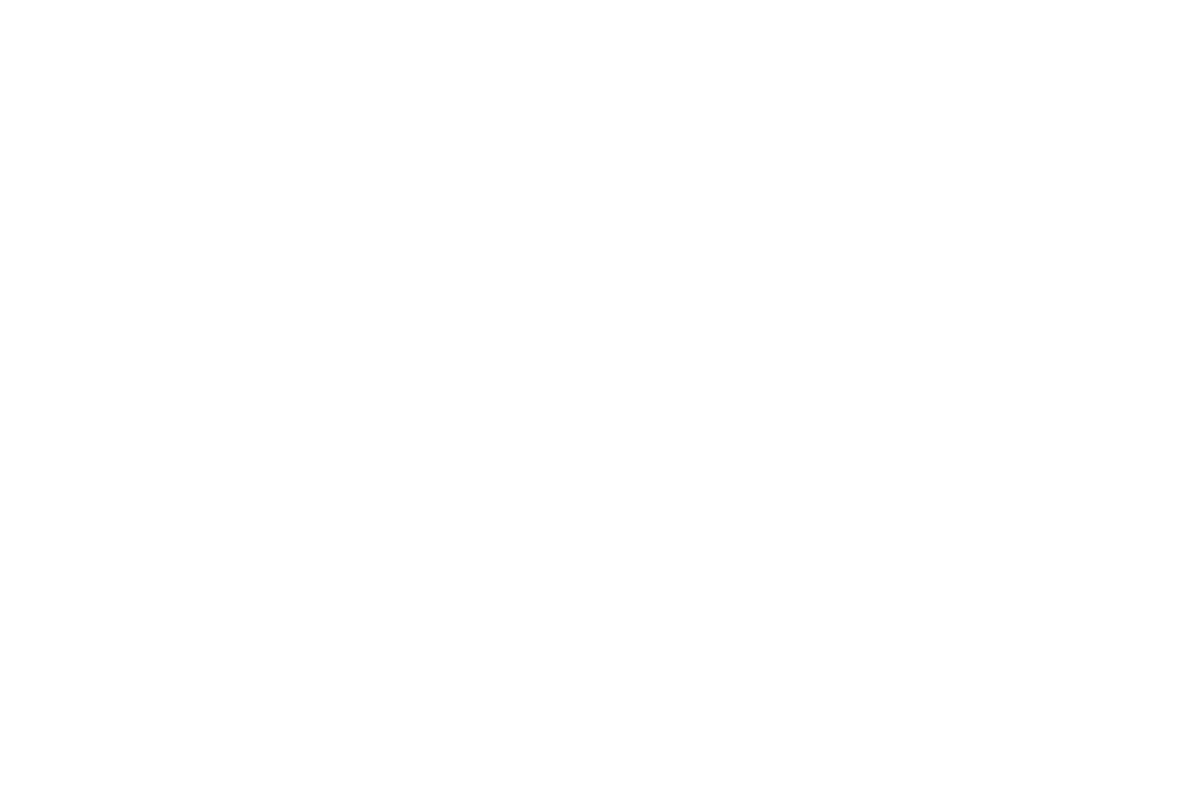 NOMINATION BEST DIRECTOR - Unrestricted View Film Festival - 2020 (1).png