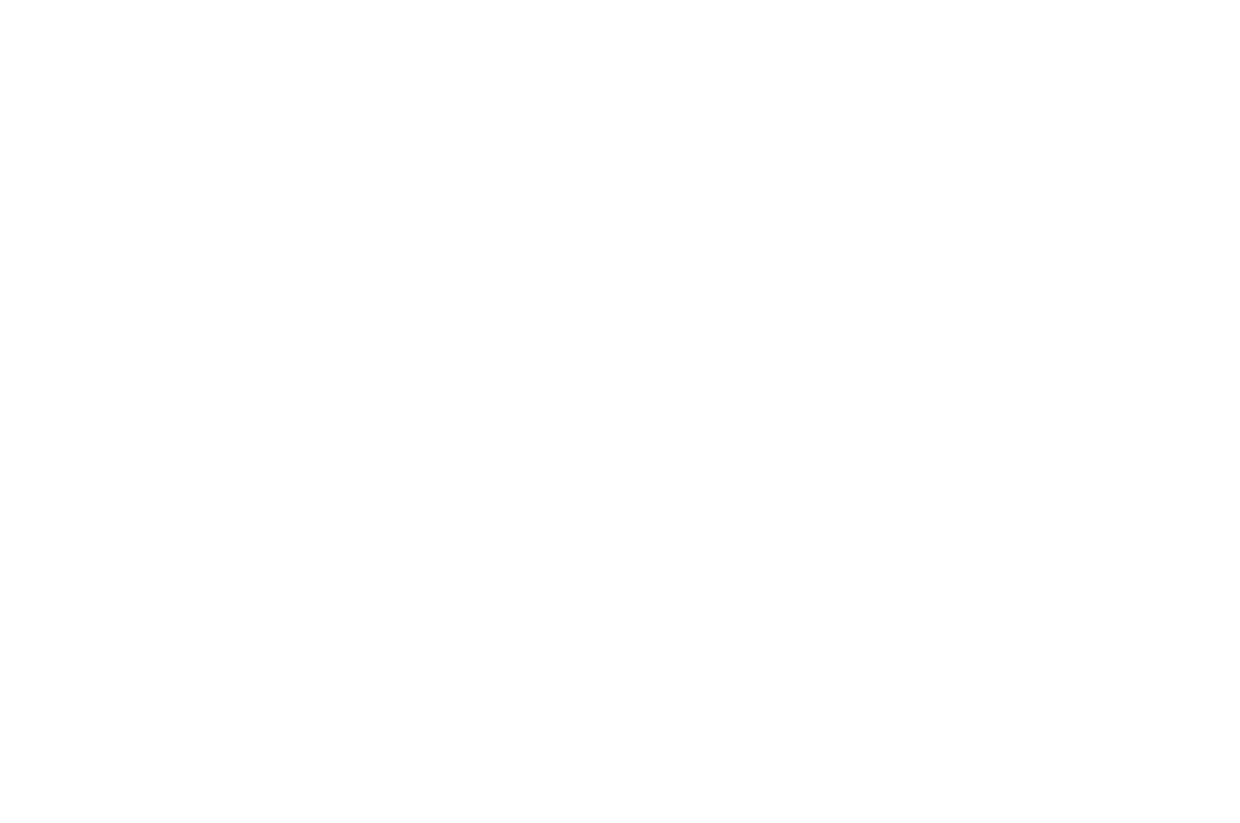 OFFICIAL SELECTION - CINECITY Brighton Film Festival - 2018.png