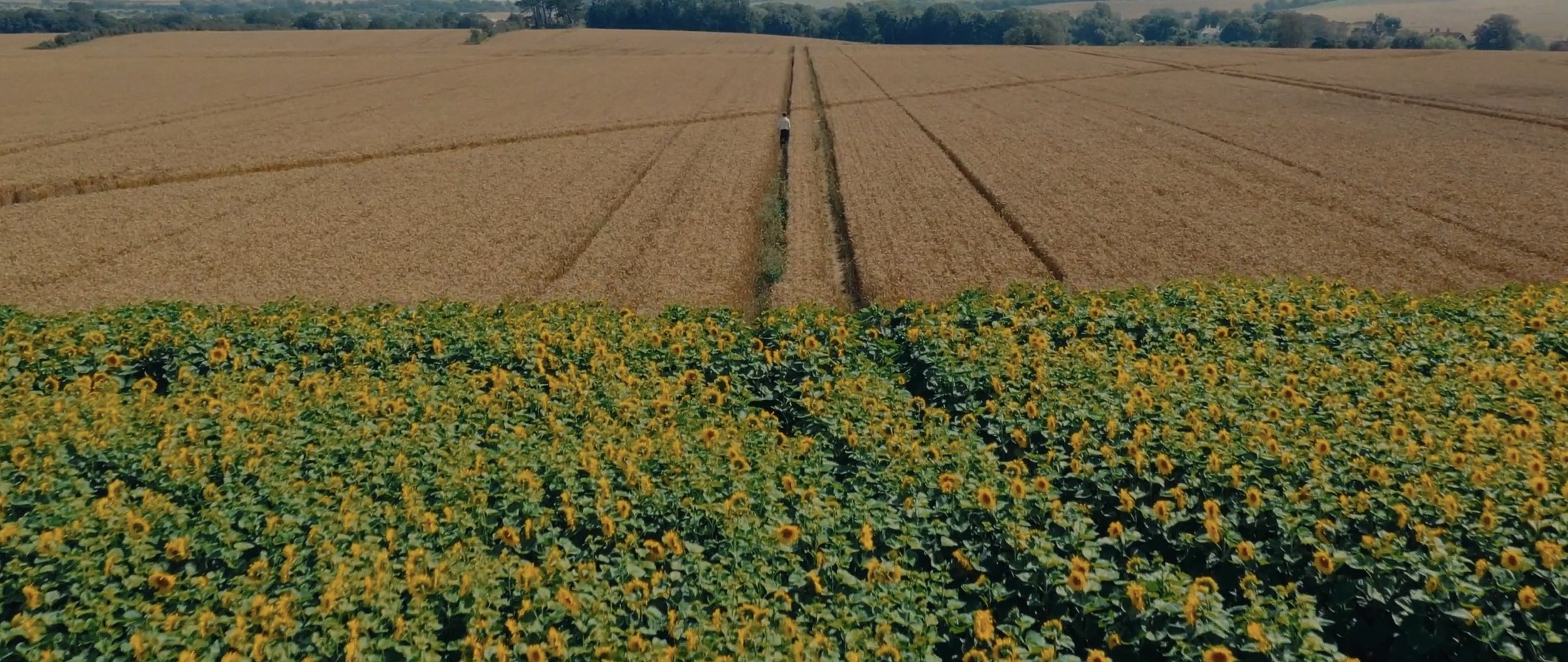 Screenshot 2024-08-27 at 12.44.04.jpeg