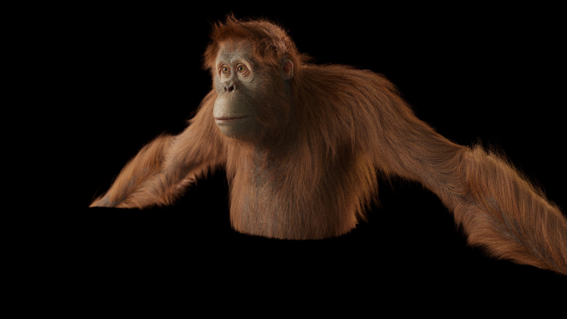 20170512_orangutan_lookdev_lighttest.jpg