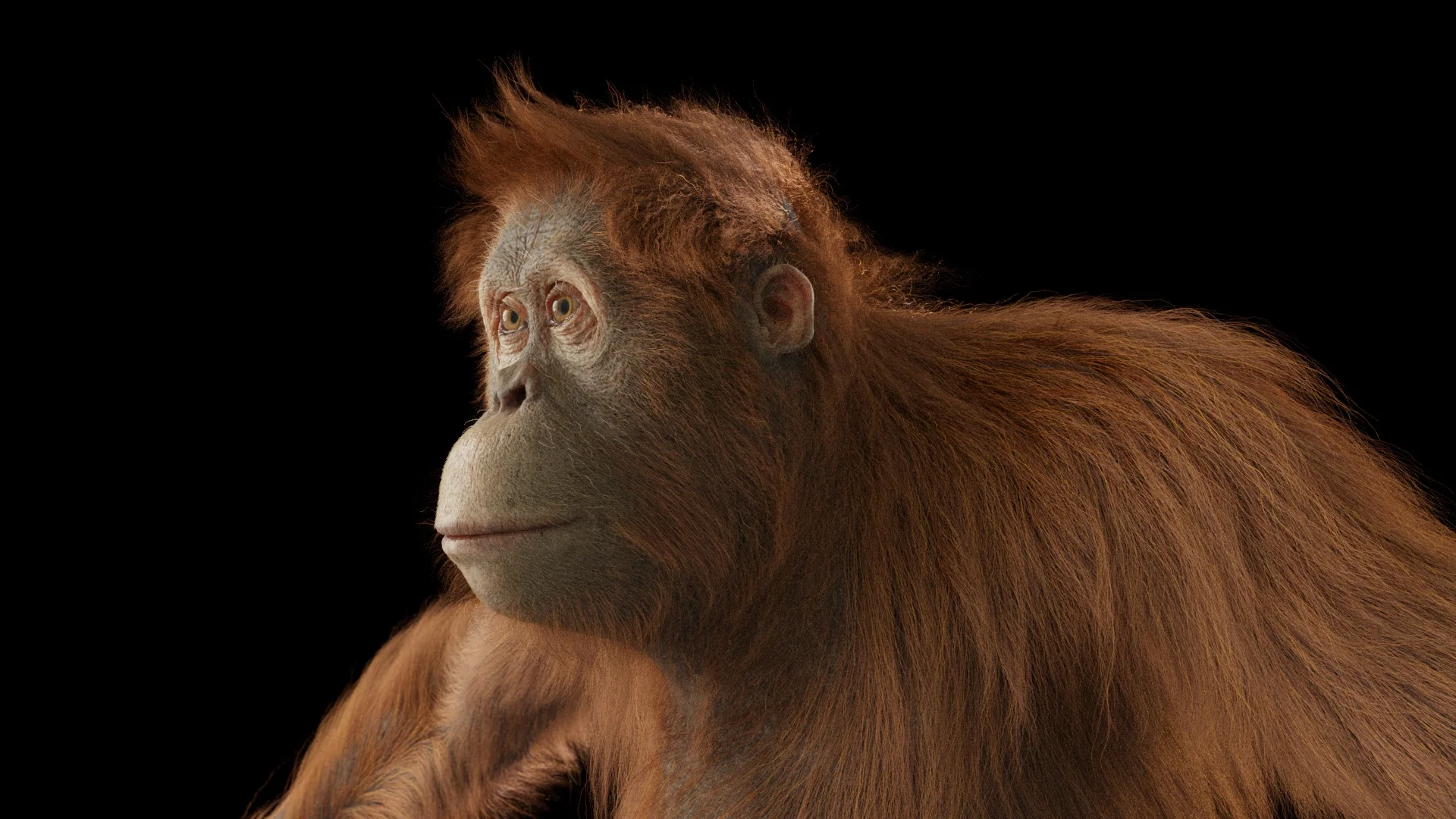 _20170515_orangutan_lookdev_lighttest.jpg