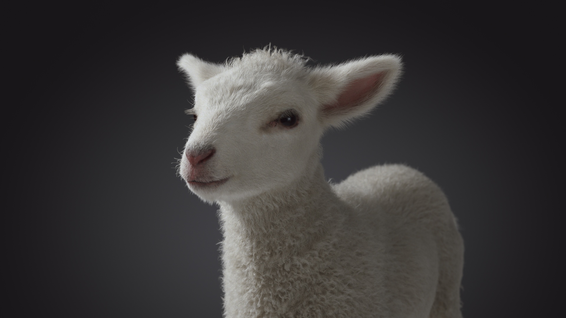 lambi_jleuf_render_02.jpg