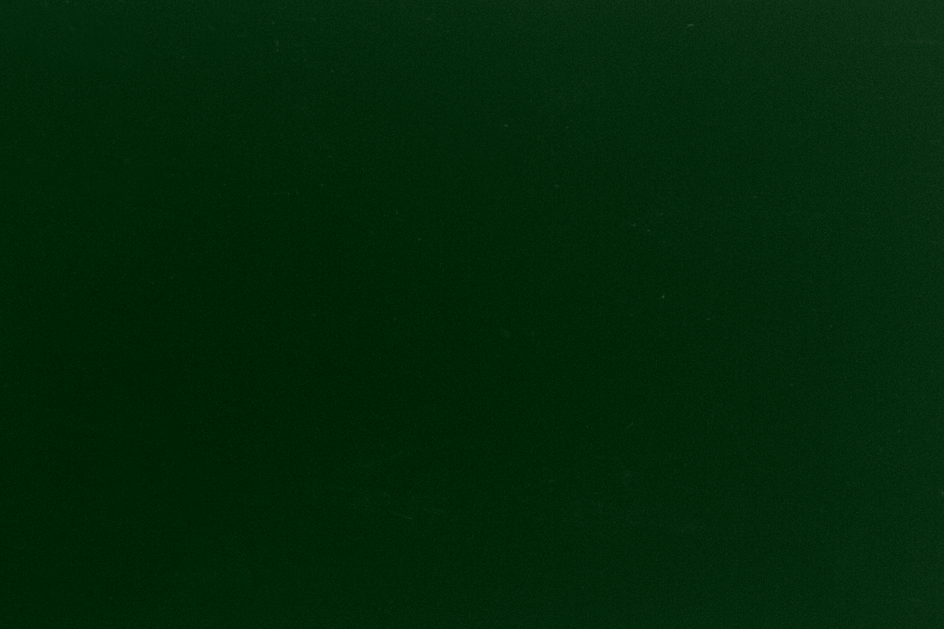 RAL6005 Forrest Green