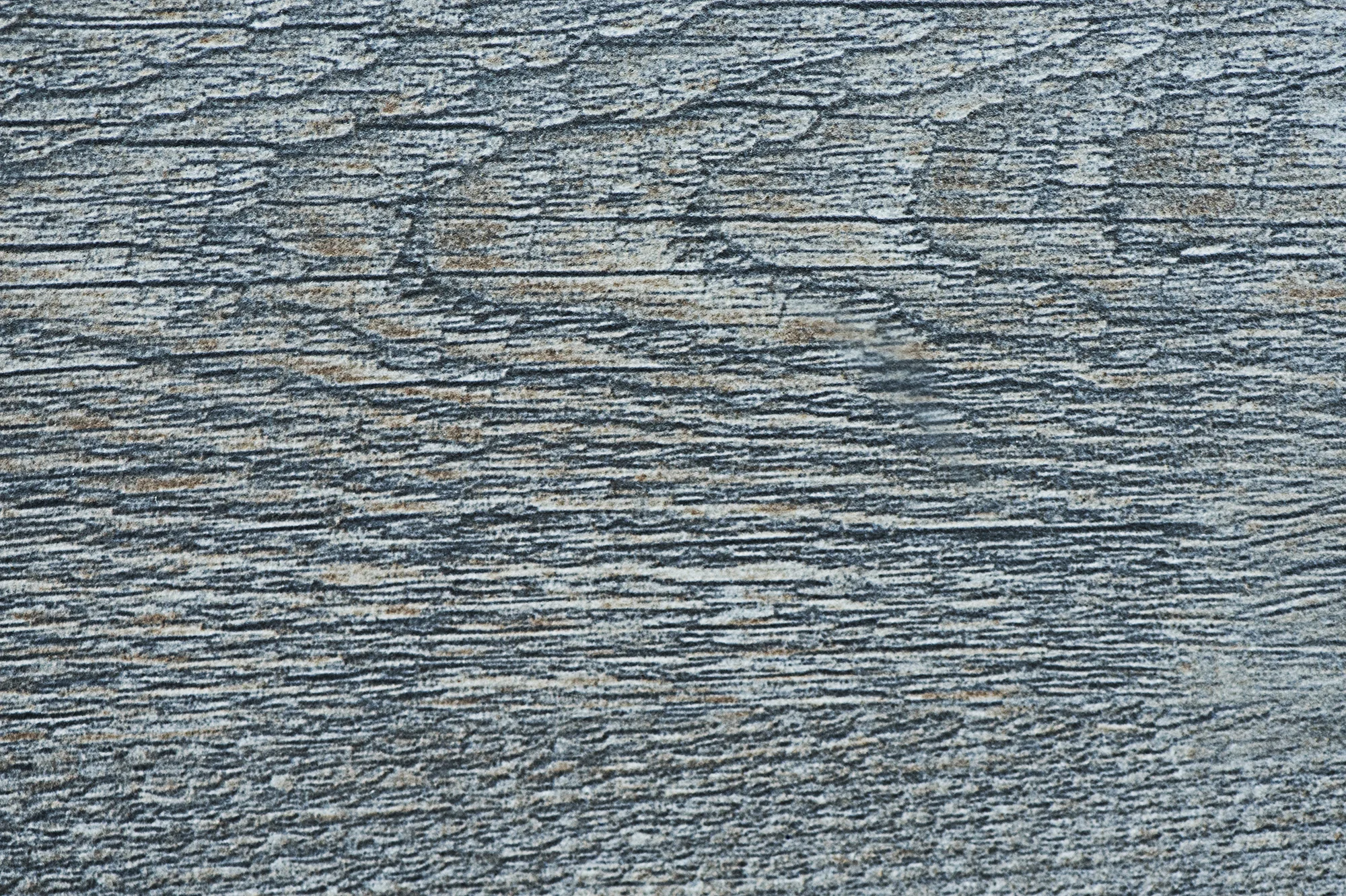 Reclaimed Boardwalk Texture