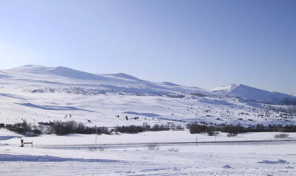 hoevringen1.jpg