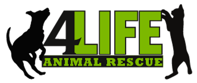 4-life-rescue.png
