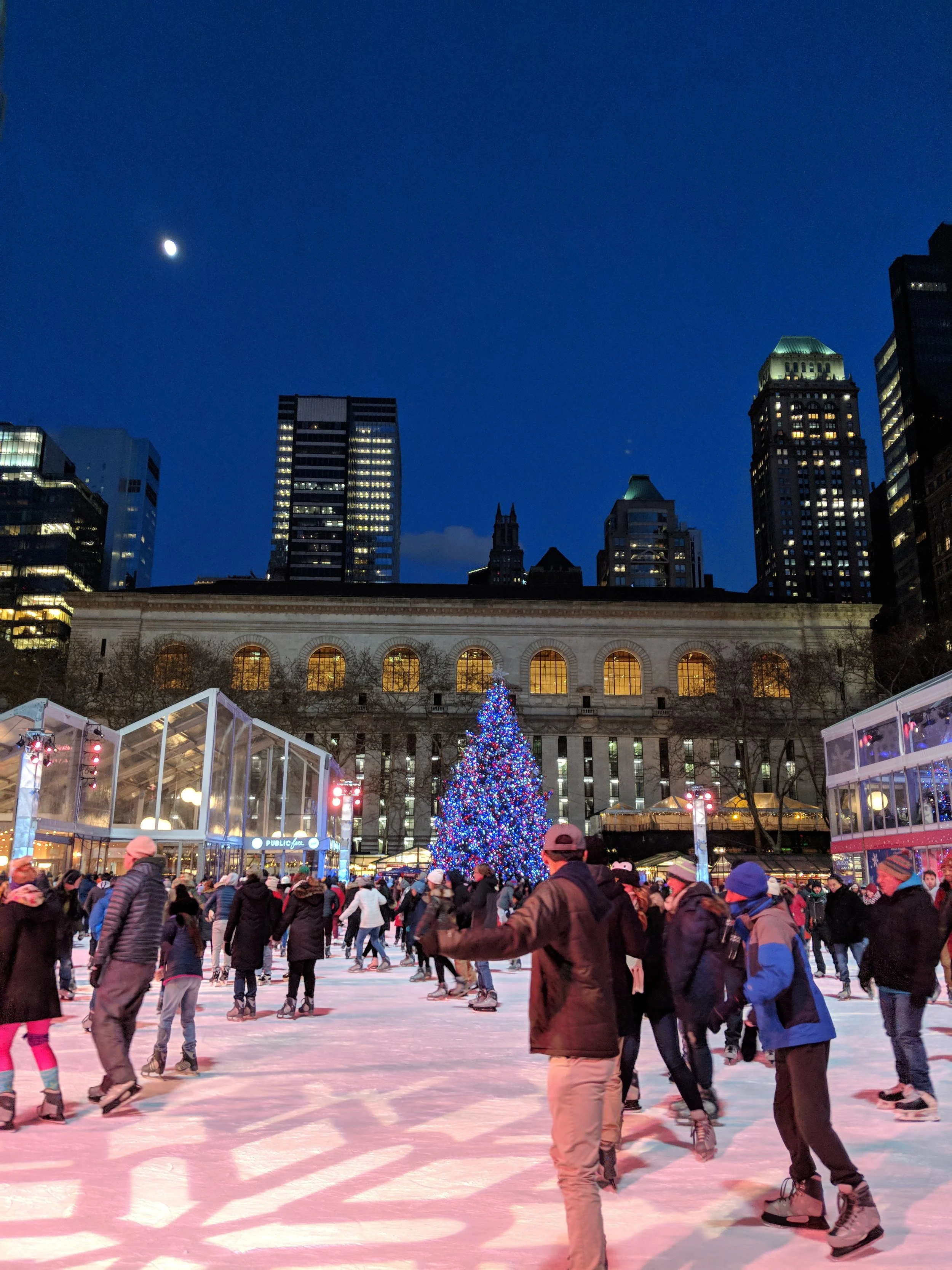 Blue hour on the rink with the beautiful tree looking on.