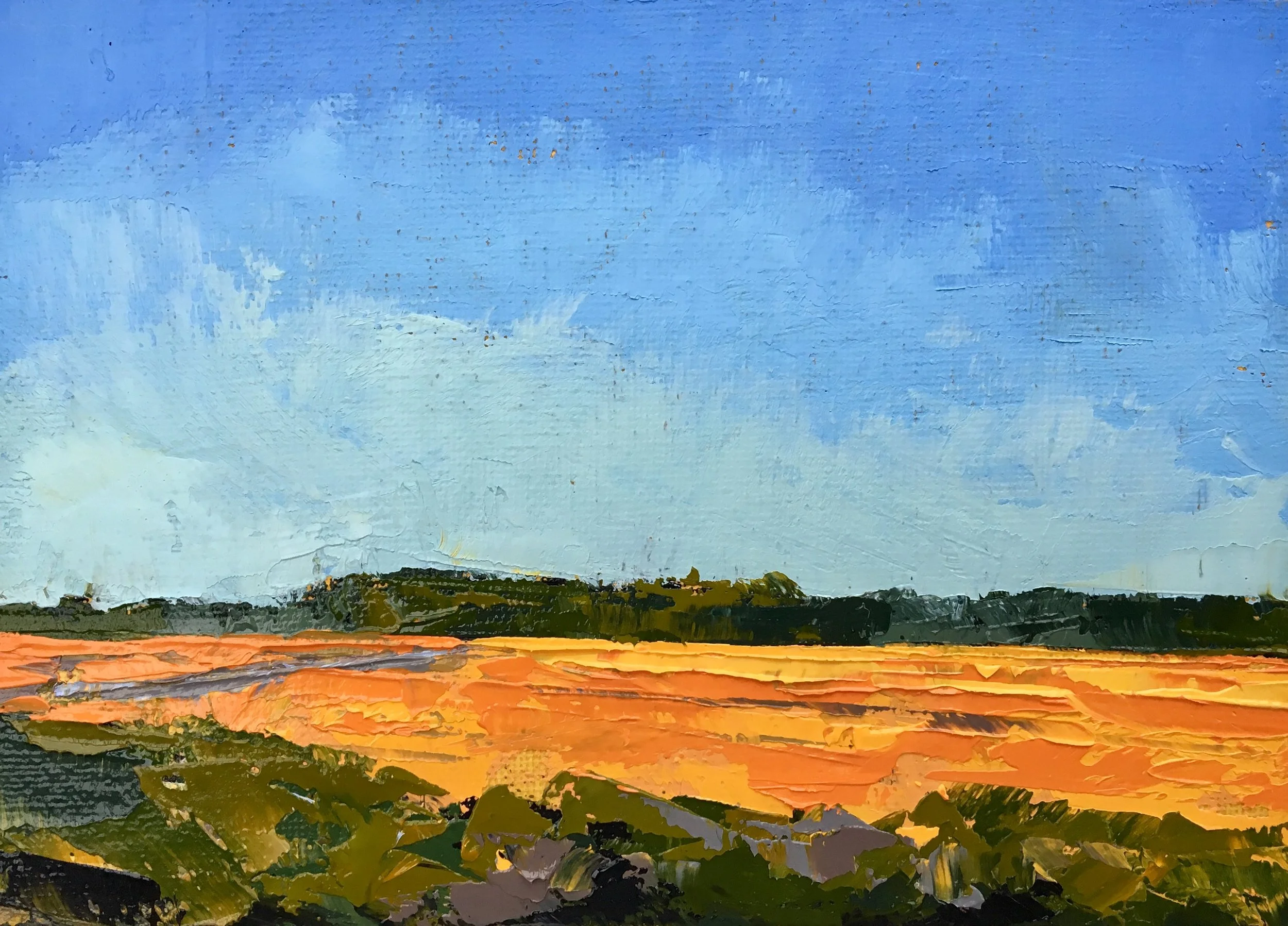 Corn fields after the cut