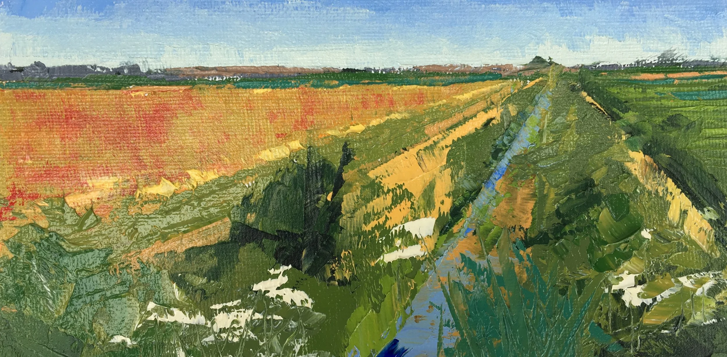 Summer Fields on the Fens