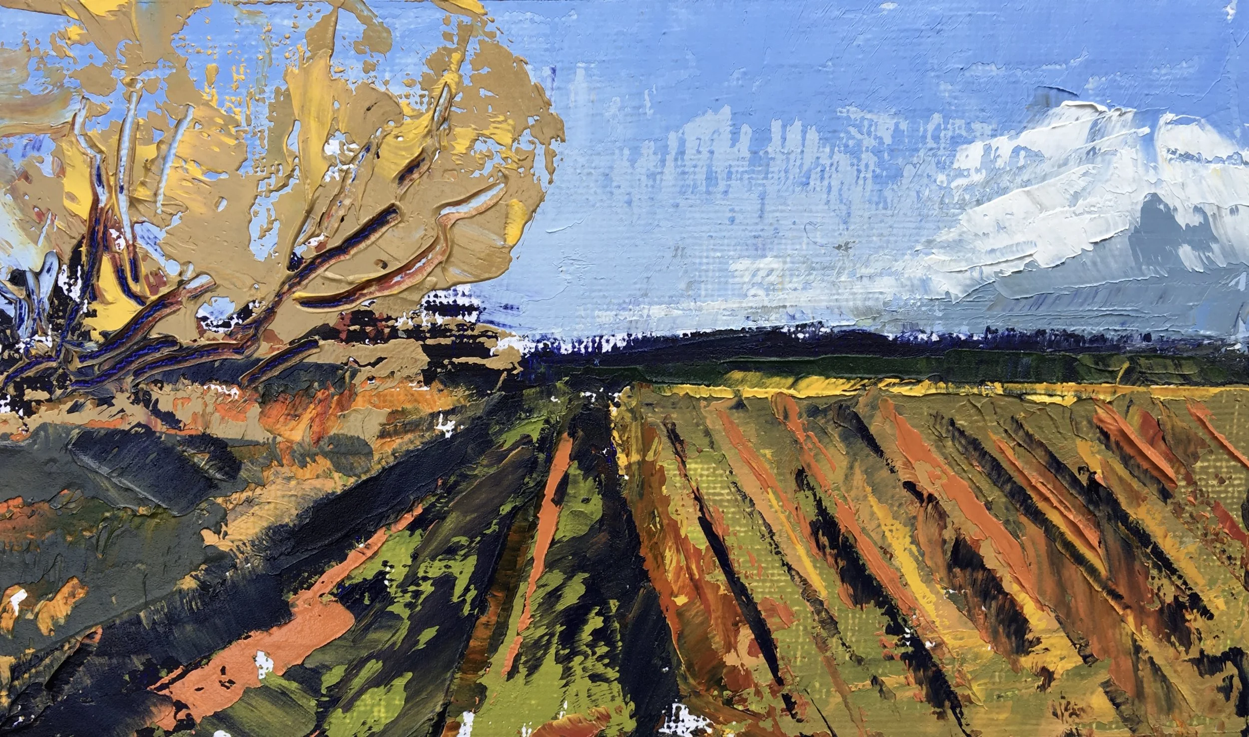 Spring Ploughed Fields on the Fens