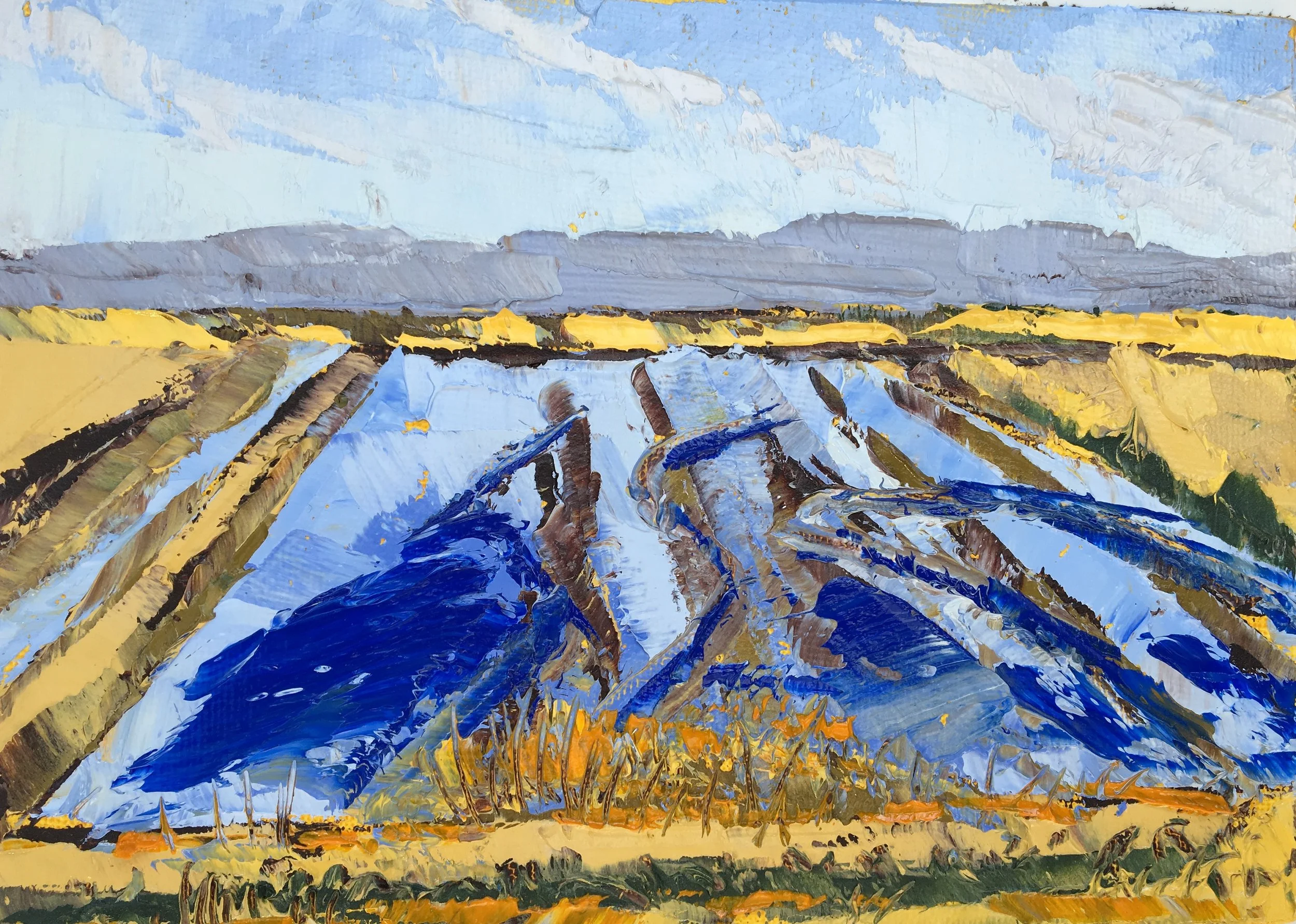 Flooded Fenland Fields