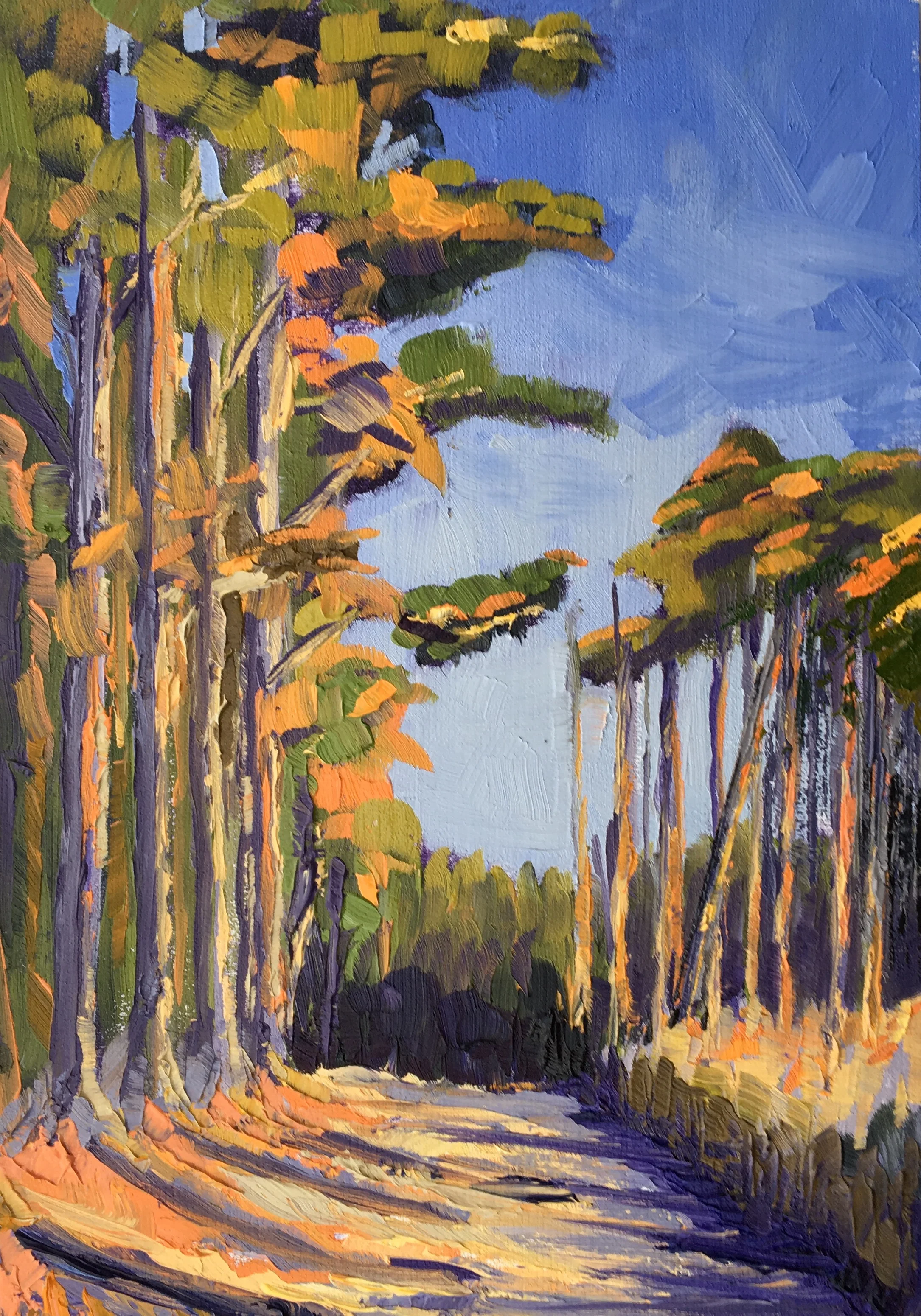 Ashdown Forest track