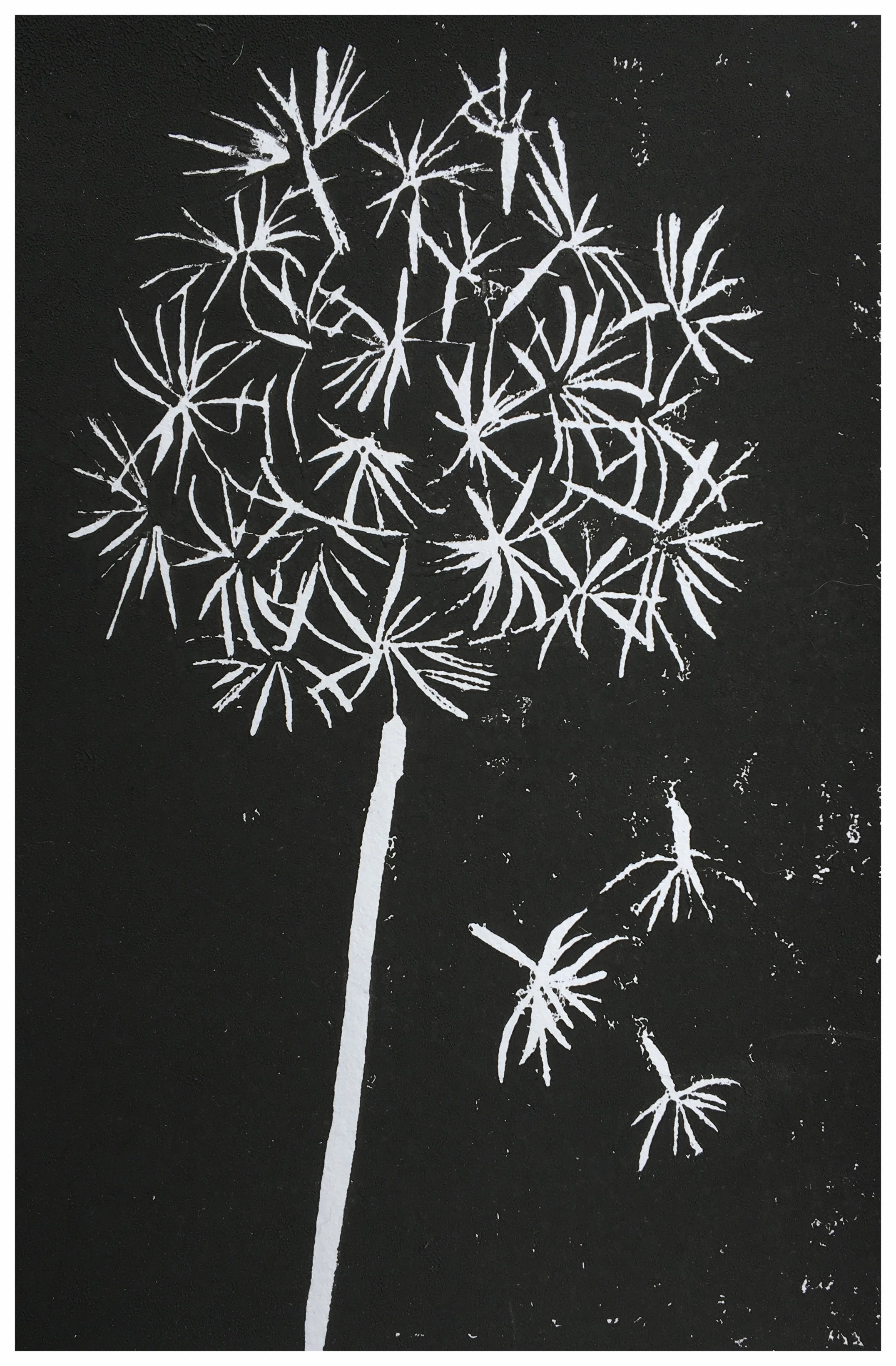 Dandelion Blowing in the Breeze