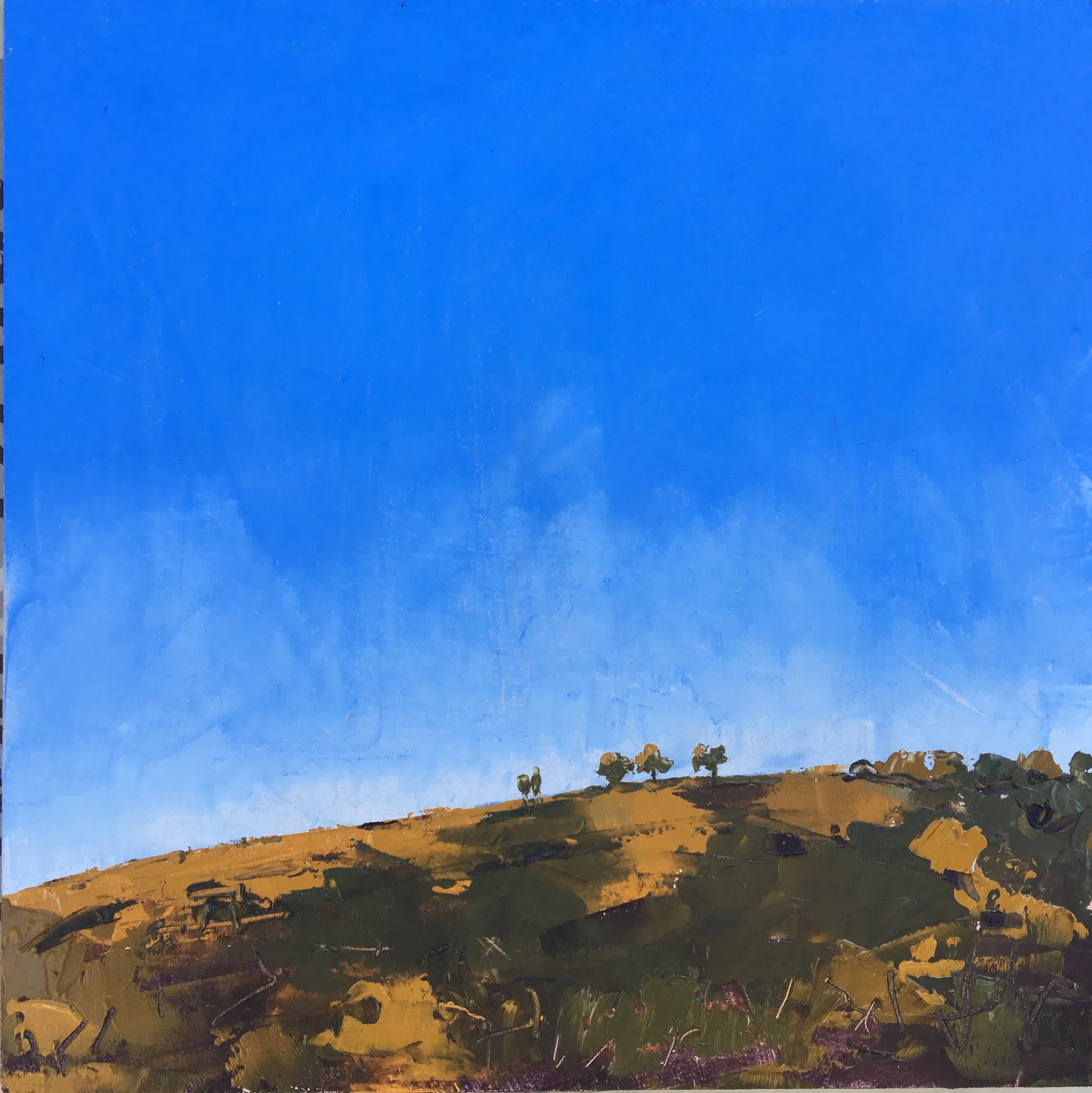 Midday heat parches the 'Bald Hill"