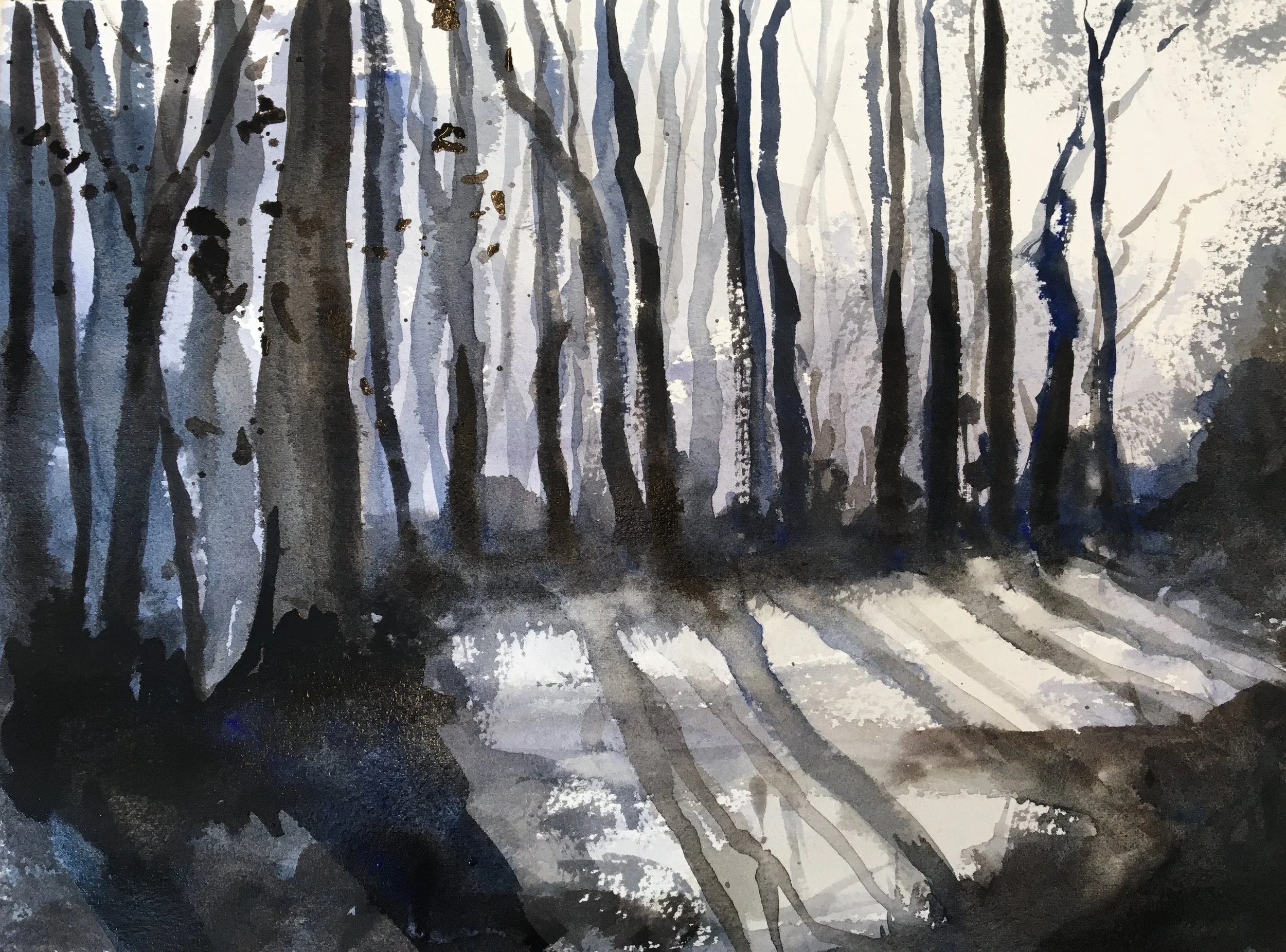 Winter woods