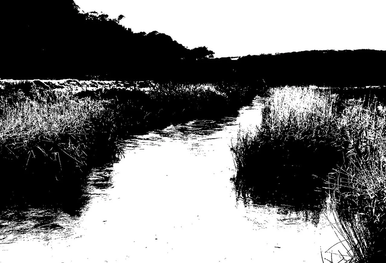 Lesson 2: Notan "harmony between light and dark" and using tonal value sketches