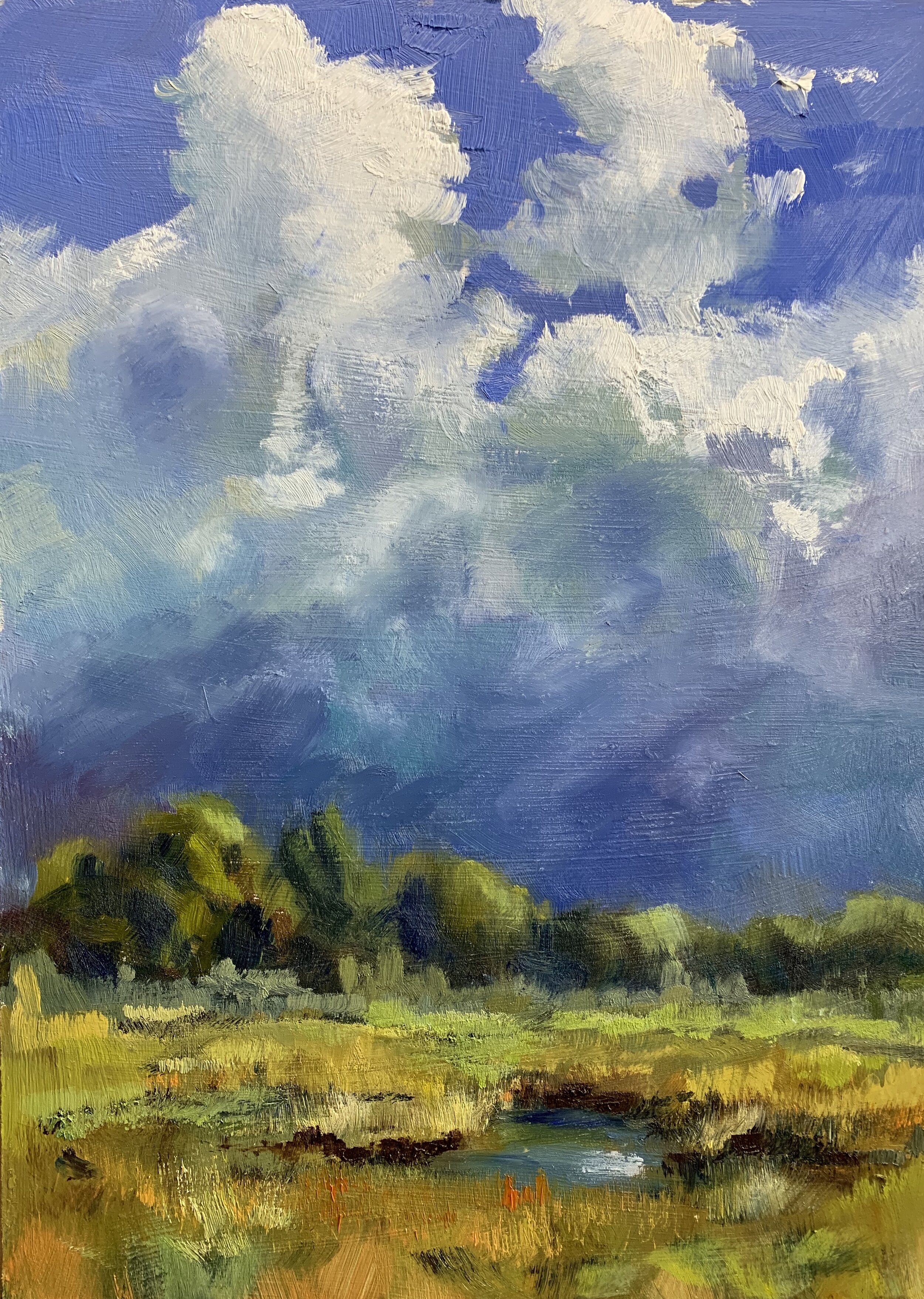 After a storm on Edisto Island