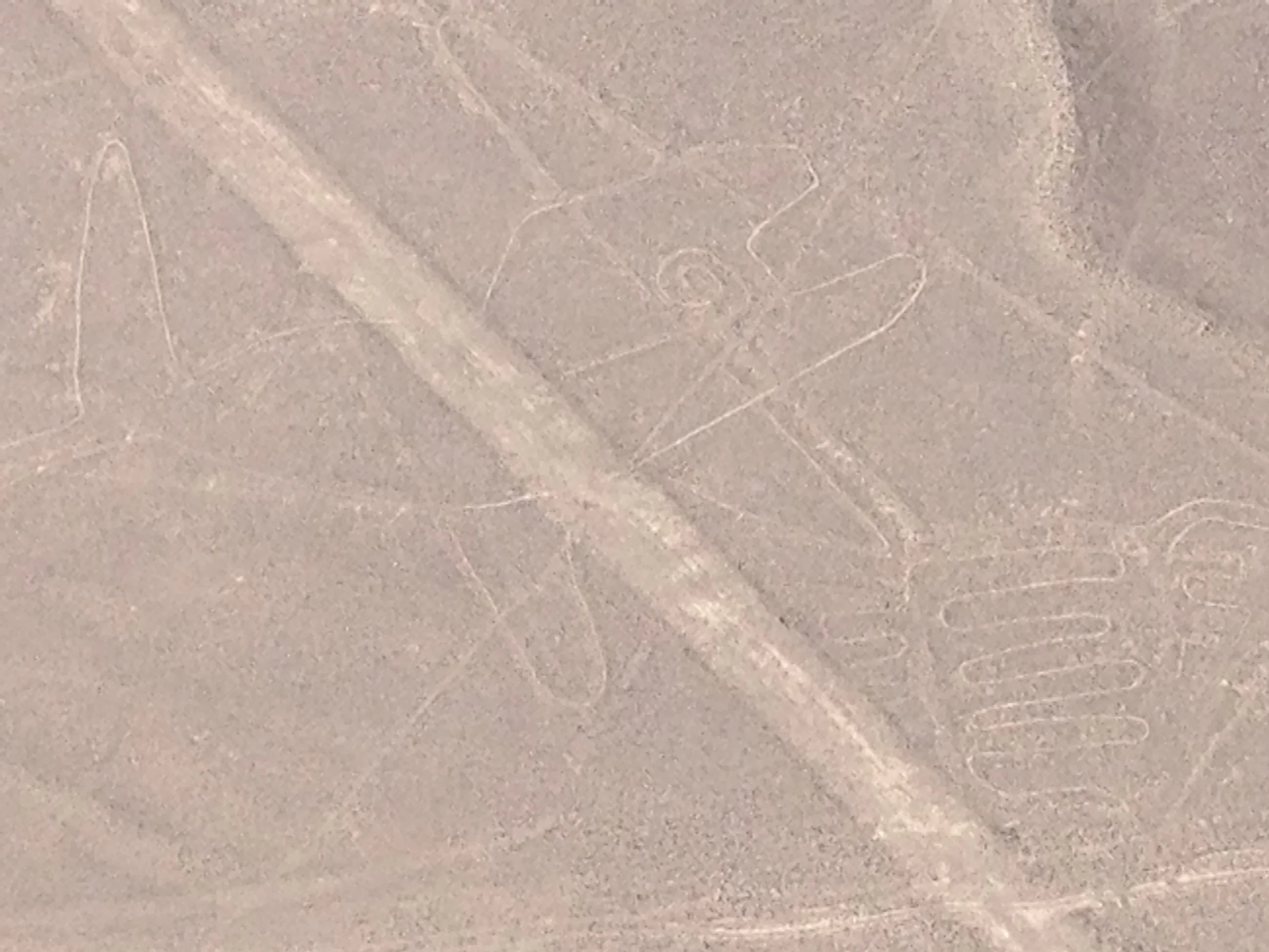 The whale carving. Note the line going through it which must indicate the whale was created first?