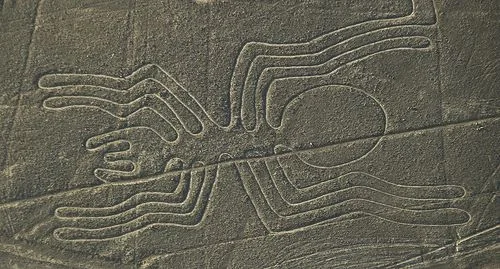 The Nazca Spider