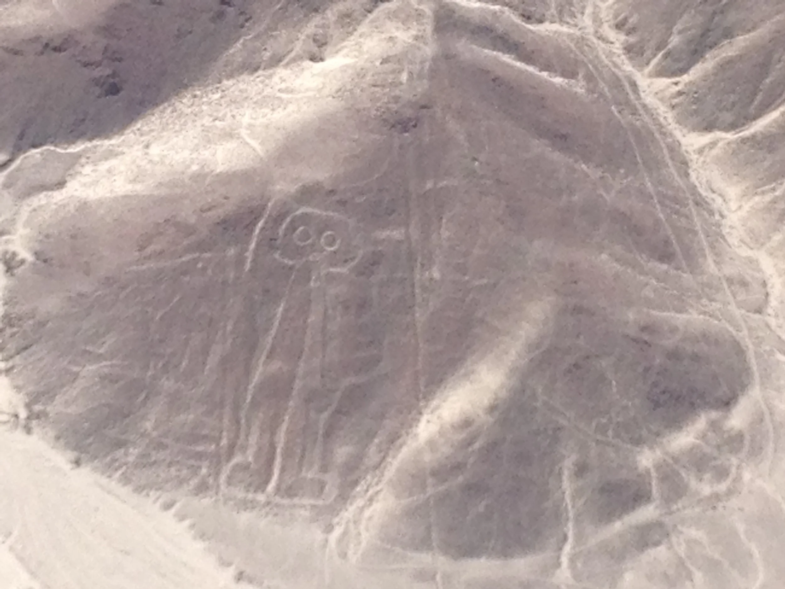 The 'Astronaut' ?