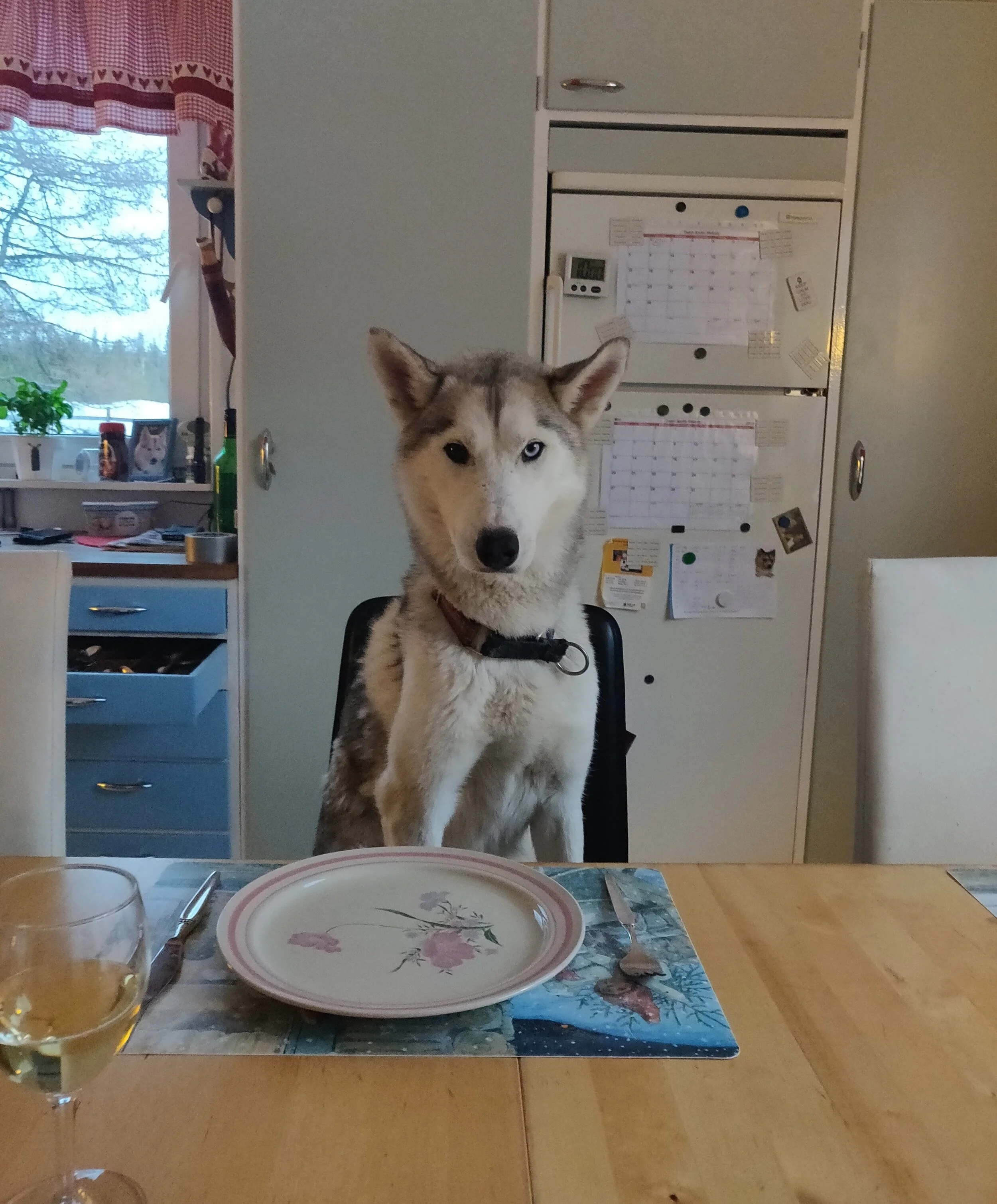 Furzi+%282%29.jpg