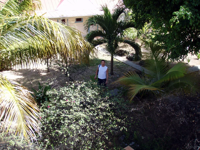 P3120005.jpg