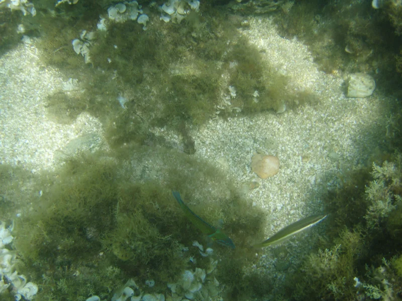 P9150208.jpg
