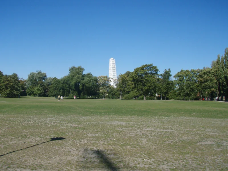 P9010219.jpg