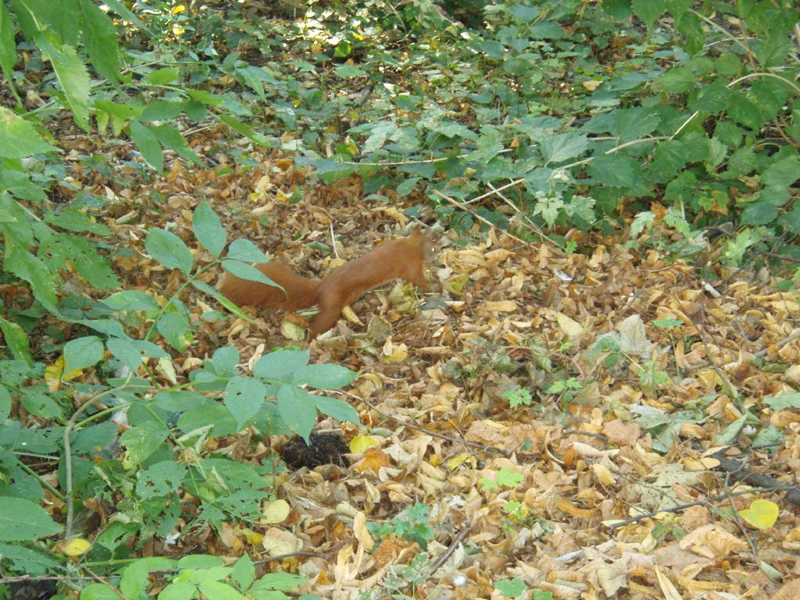 P9240216.jpg