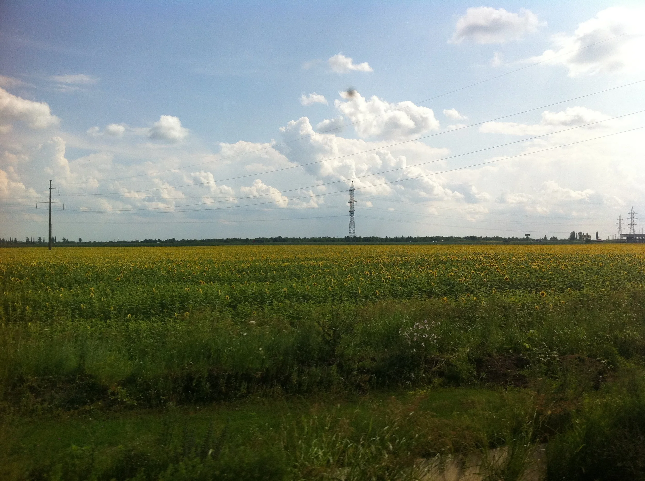 IMG_4567.JPG