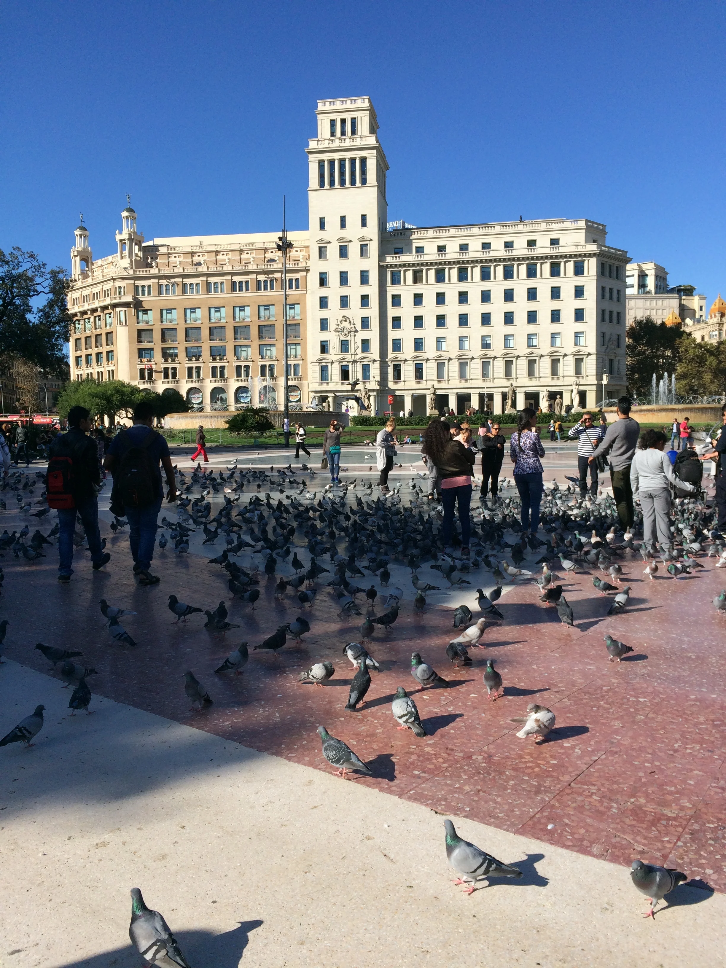 IMG_8676.JPG