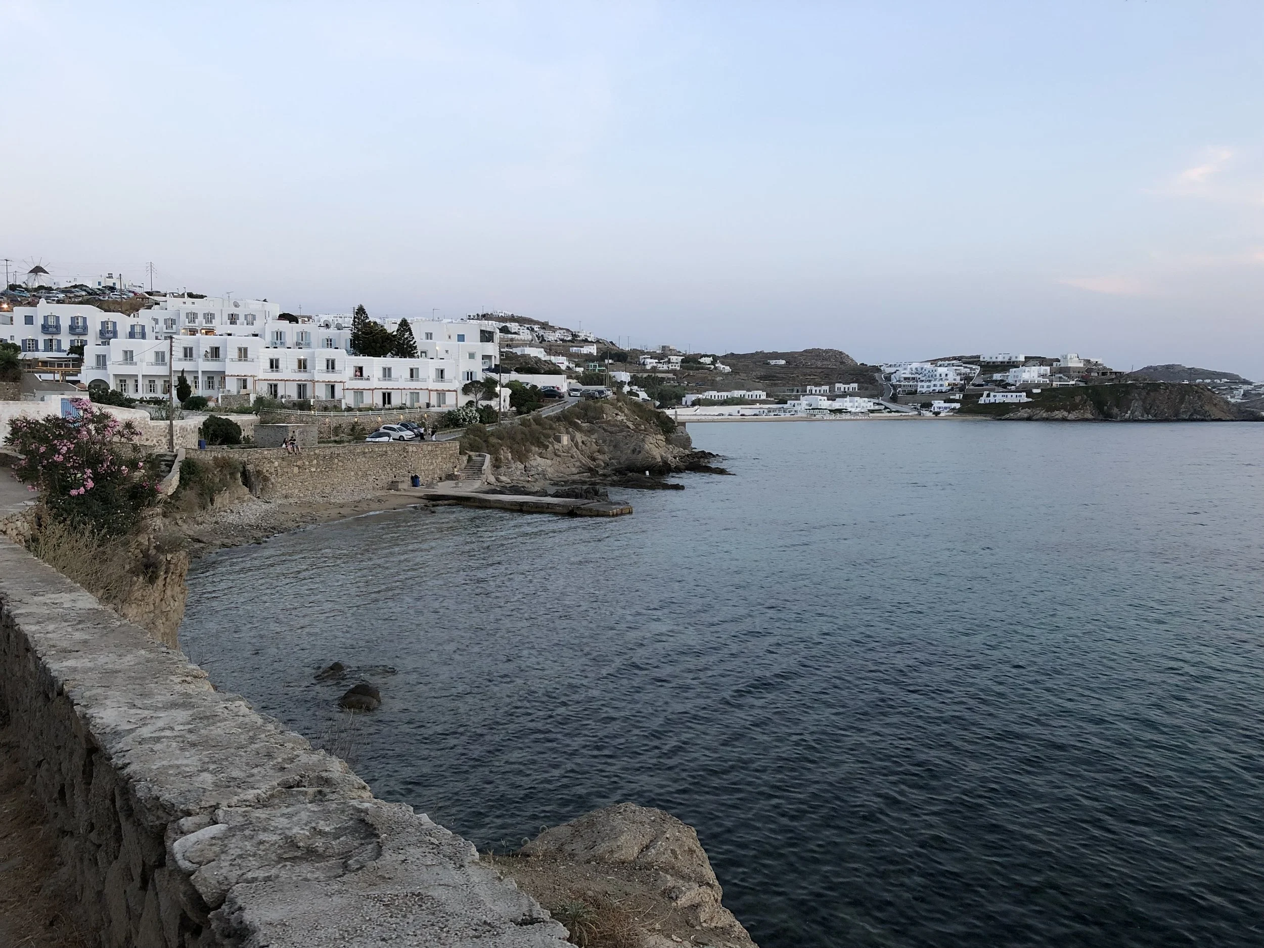 IMG_2995.JPG